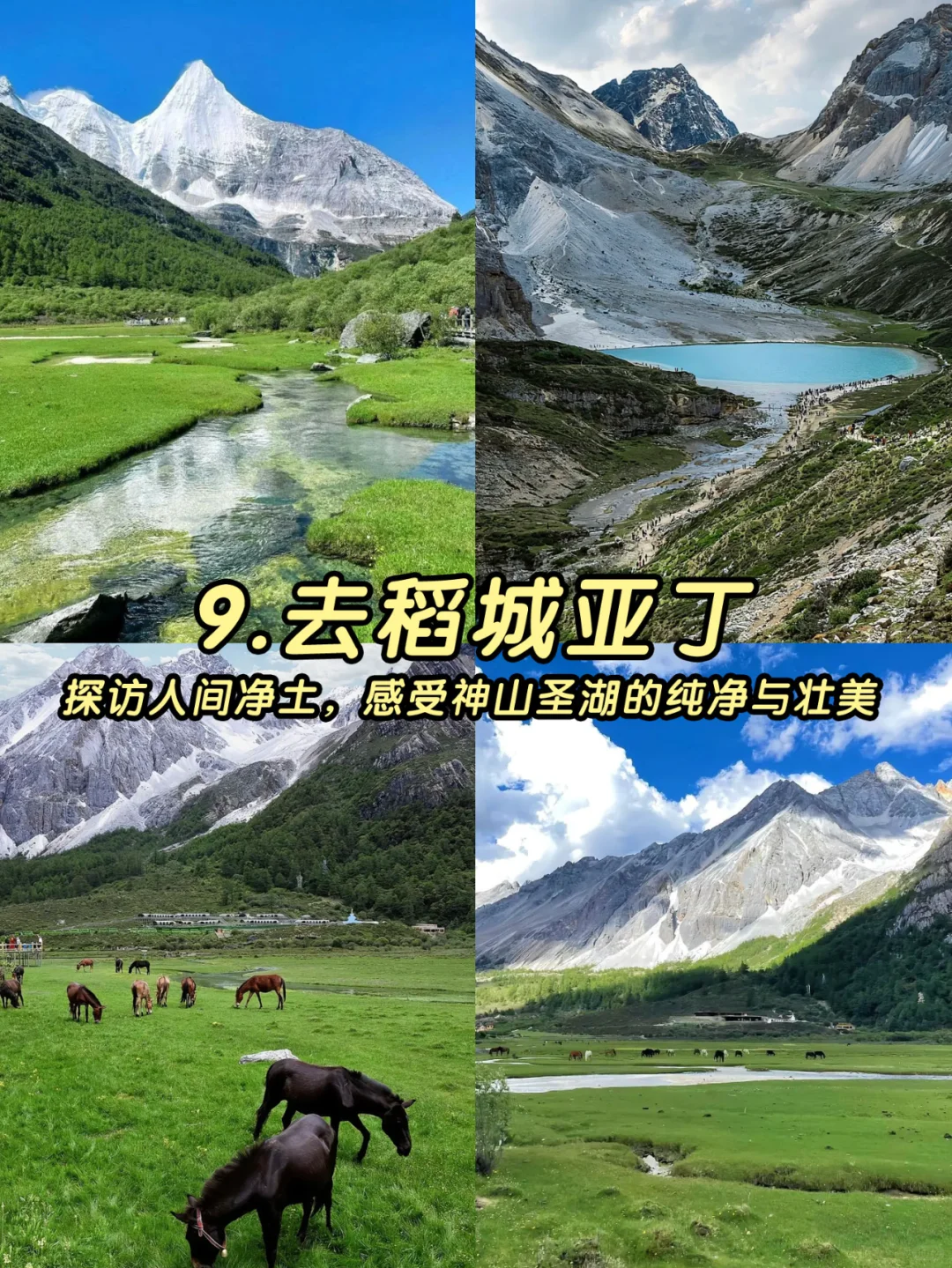 3-4月最值得去的十个地方🙋‍♀️码住！