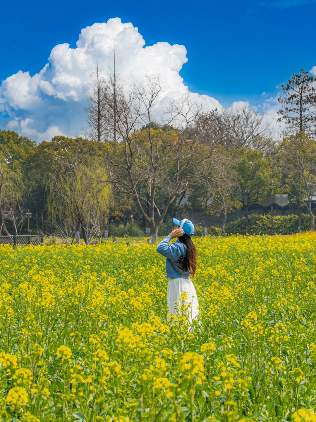 比起西湖，我更爱乌镇的春日限定春和景明
