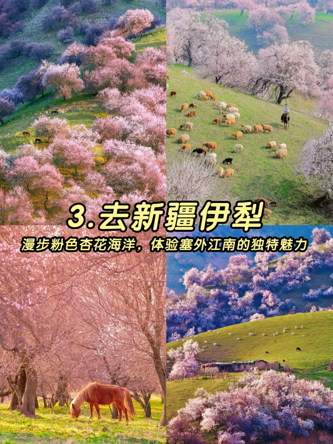 3-4月最值得去的十个地方🙋‍♀️码住！