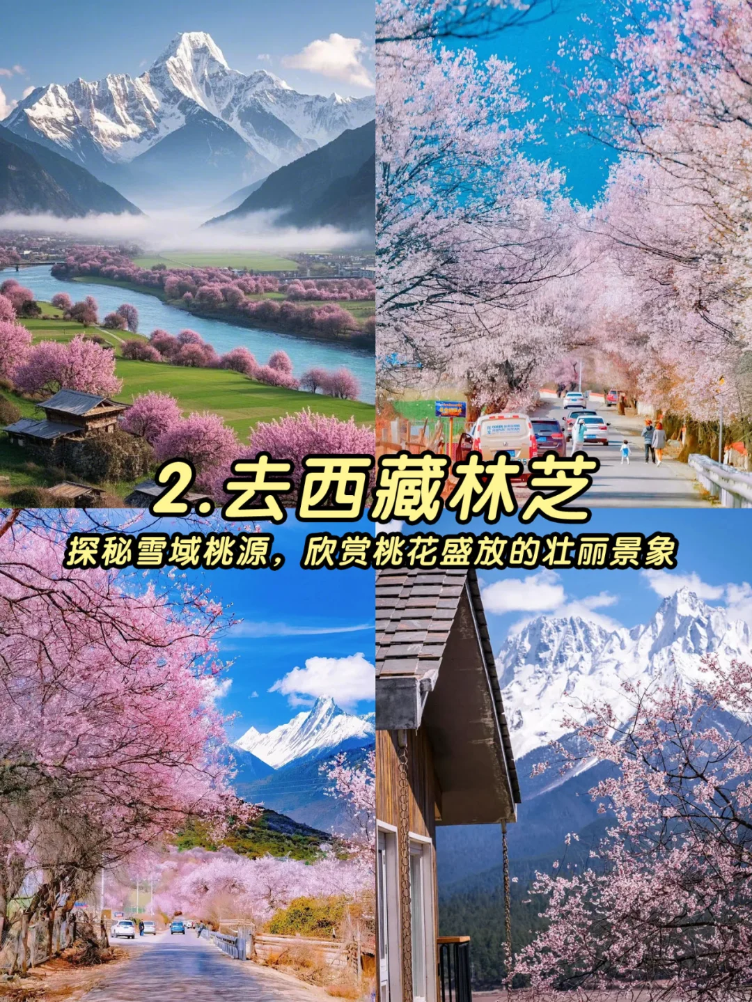 3-4月最值得去的十个地方🙋‍♀️码住！
