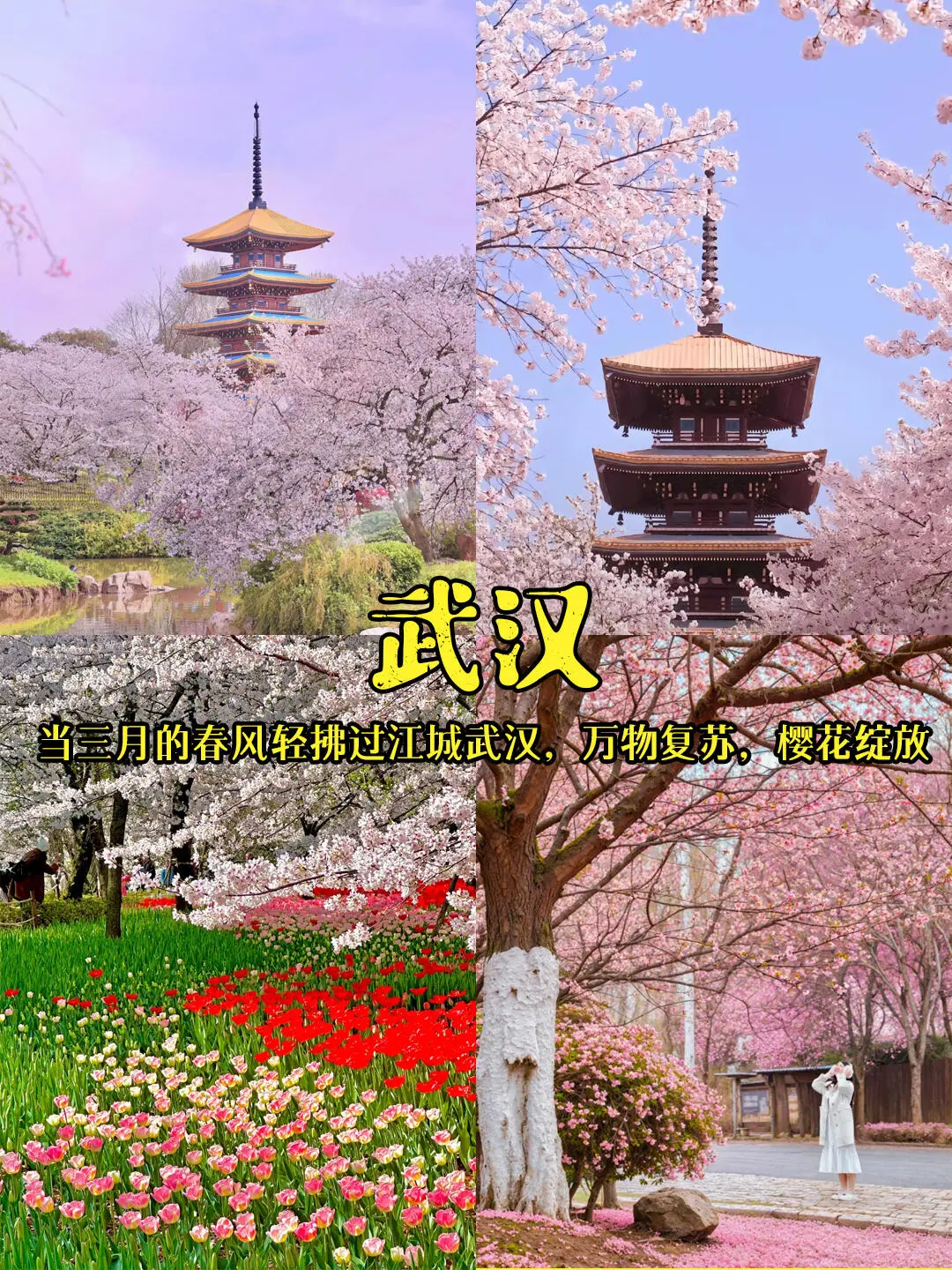 2025春游必冲！当我问DeepSeek国内小众赏花#