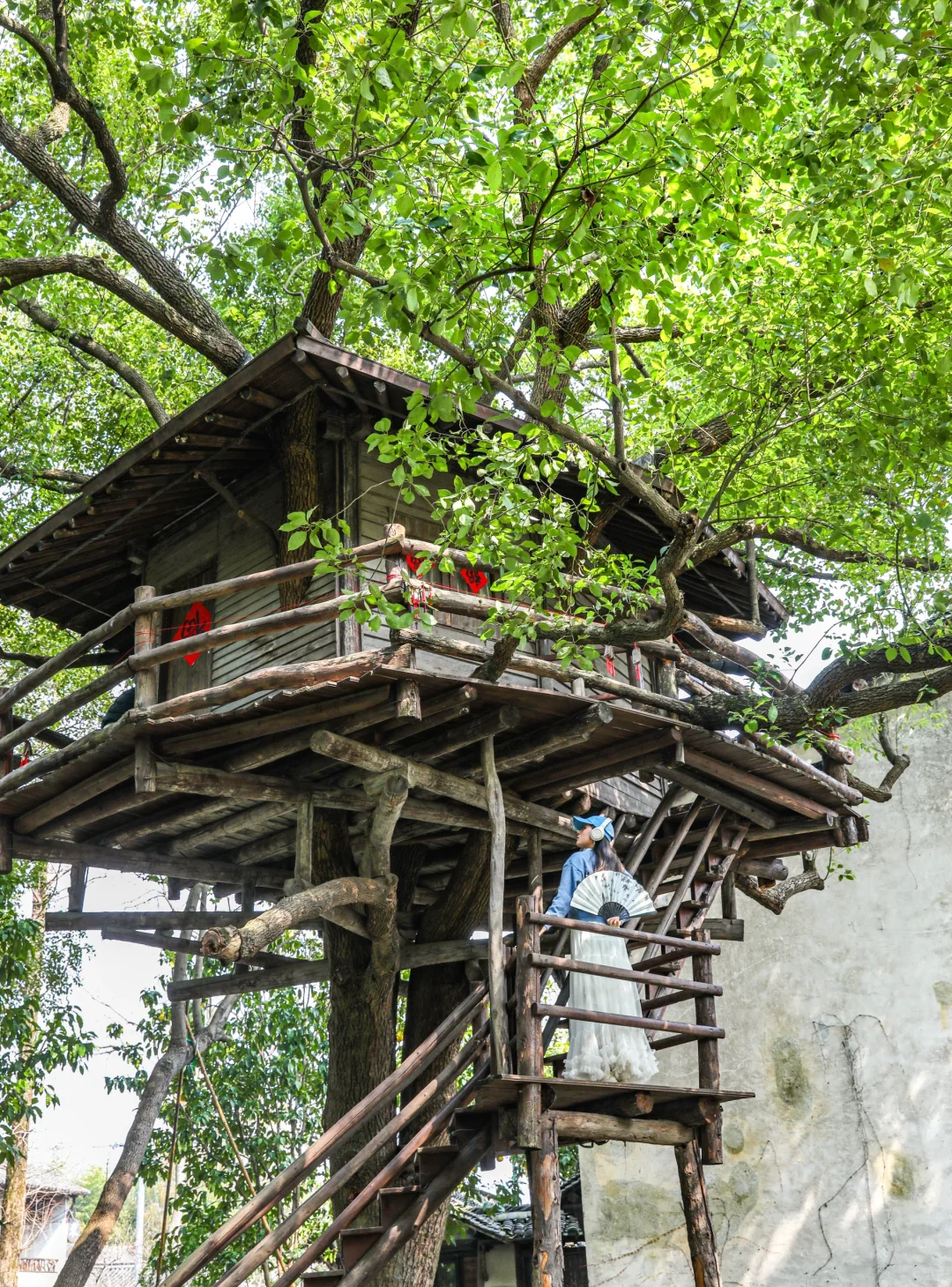 比起西湖，我更爱乌镇的春日限定春和景明
