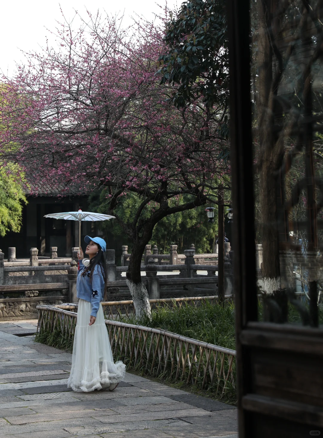 比起西湖，我更爱乌镇的春日限定春和景明