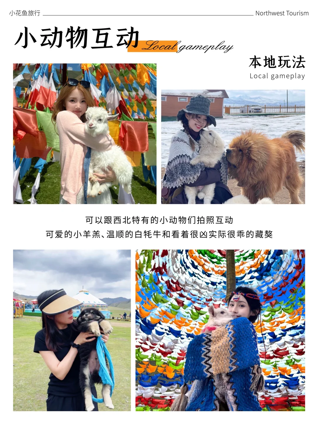 青甘大环线超chill的新路线‼️新玩法‼️上线