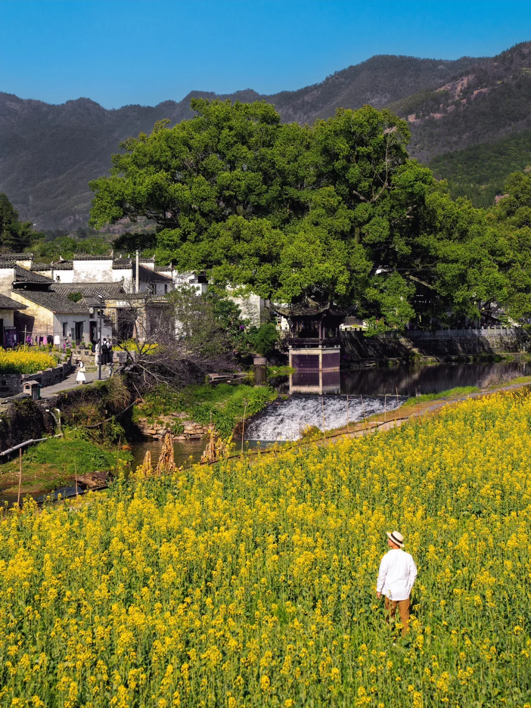 迄今为止，江西我最喜欢的春日旅行地出现了‼
