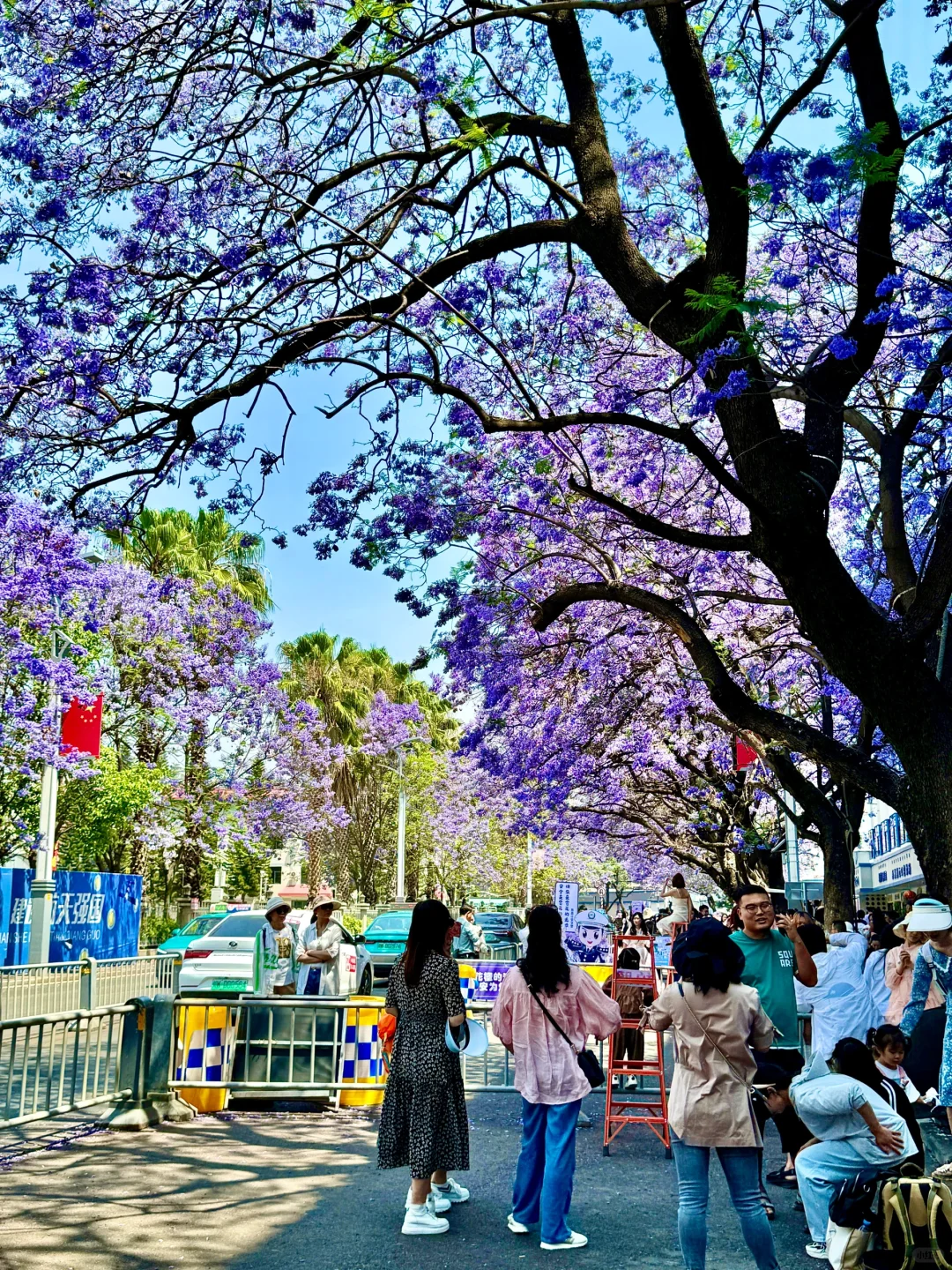 💜接下来的西昌是一万次的春和景明！附攻略！