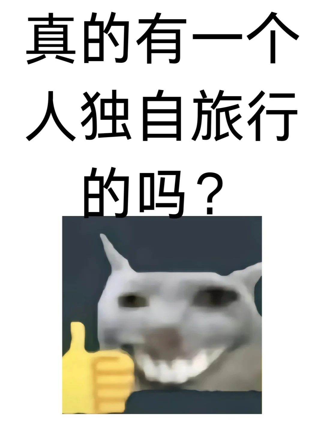 真的有一个人独自旅行的吗？