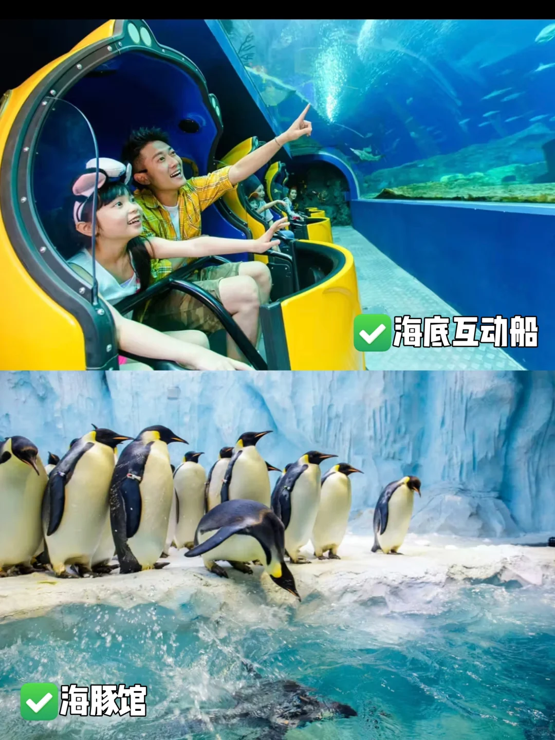 🌟珠海长隆淡季王炸攻略！人少+全刷=爆省钱