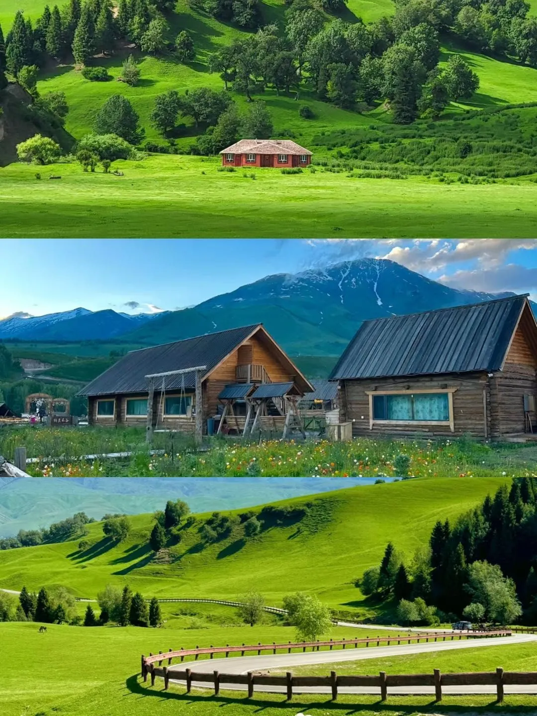 伊犁旅游保姆级攻略❗不踩坑版看这篇