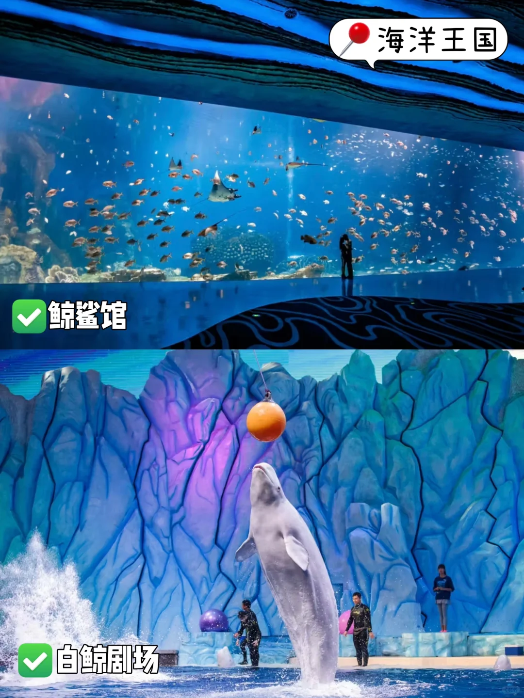 🌟珠海长隆淡季王炸攻略！人少+全刷=爆省钱