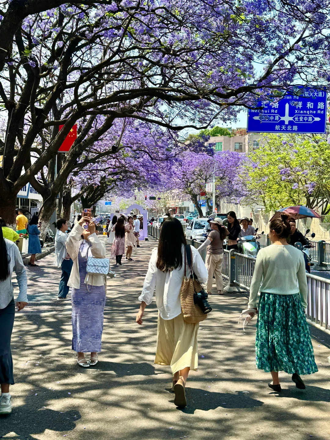 💜接下来的西昌是一万次的春和景明！附攻略！