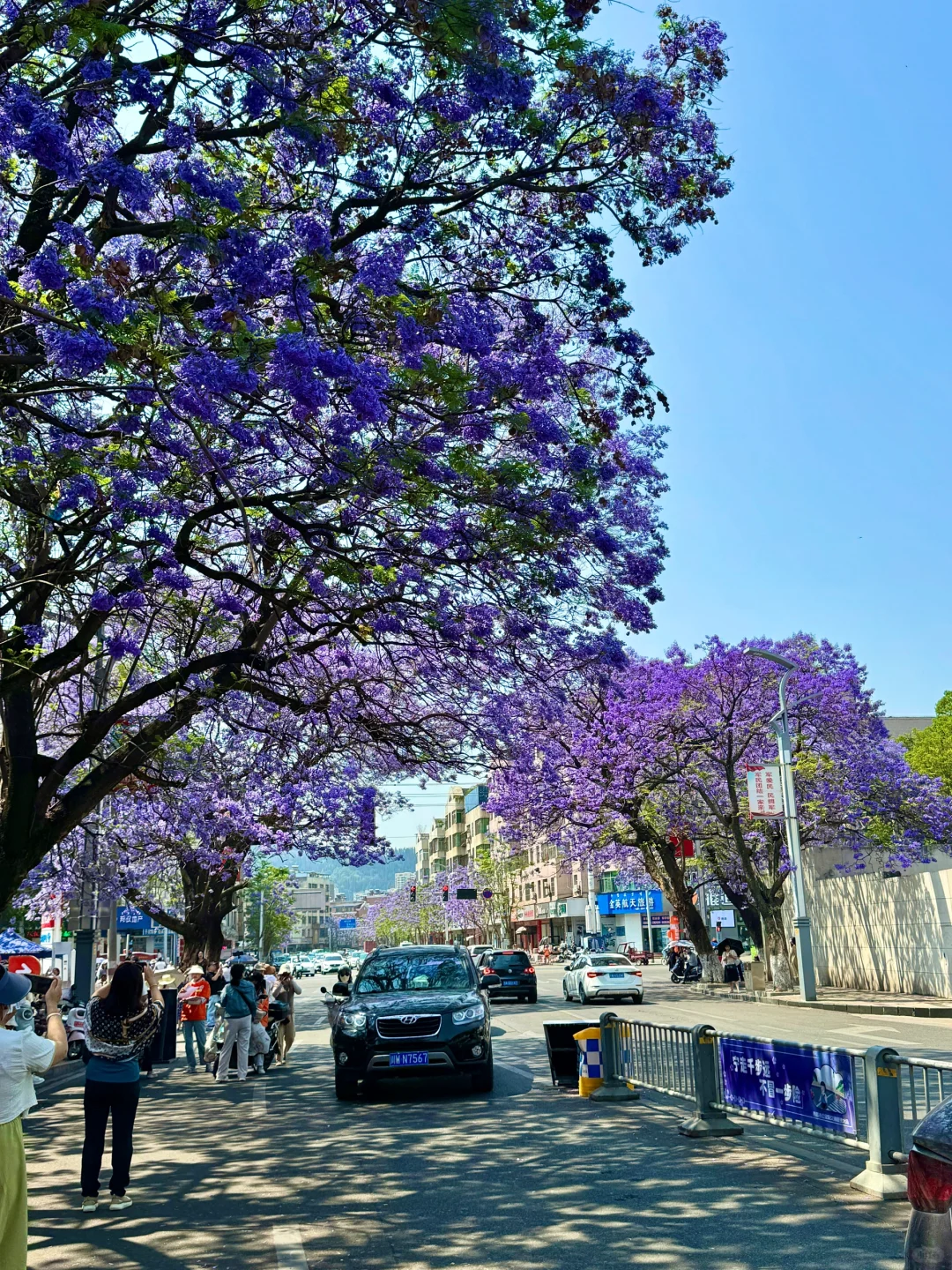 💜接下来的西昌是一万次的春和景明！附攻略！
