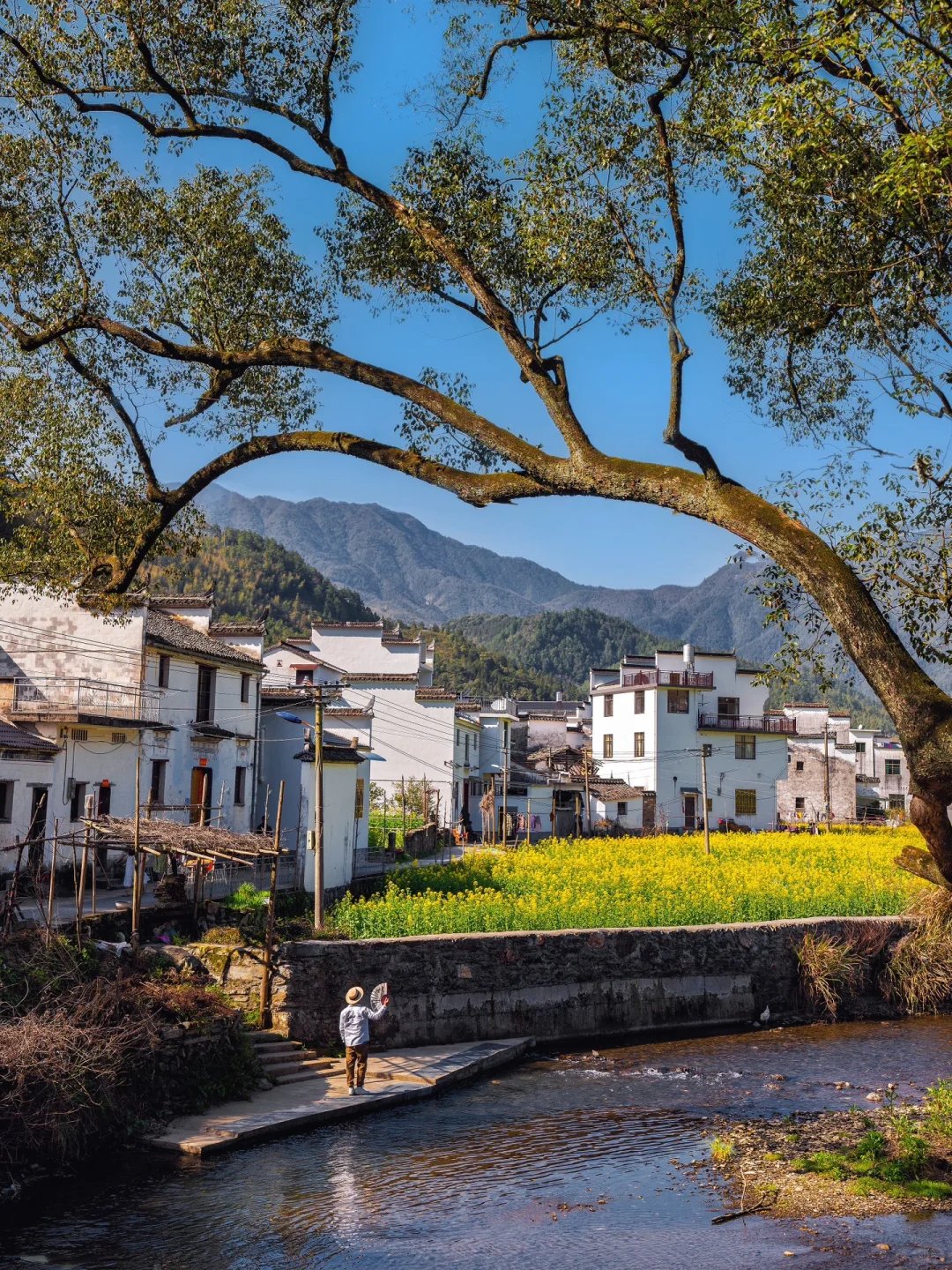 迄今为止，江西我最喜欢的春日旅行地出现了‼