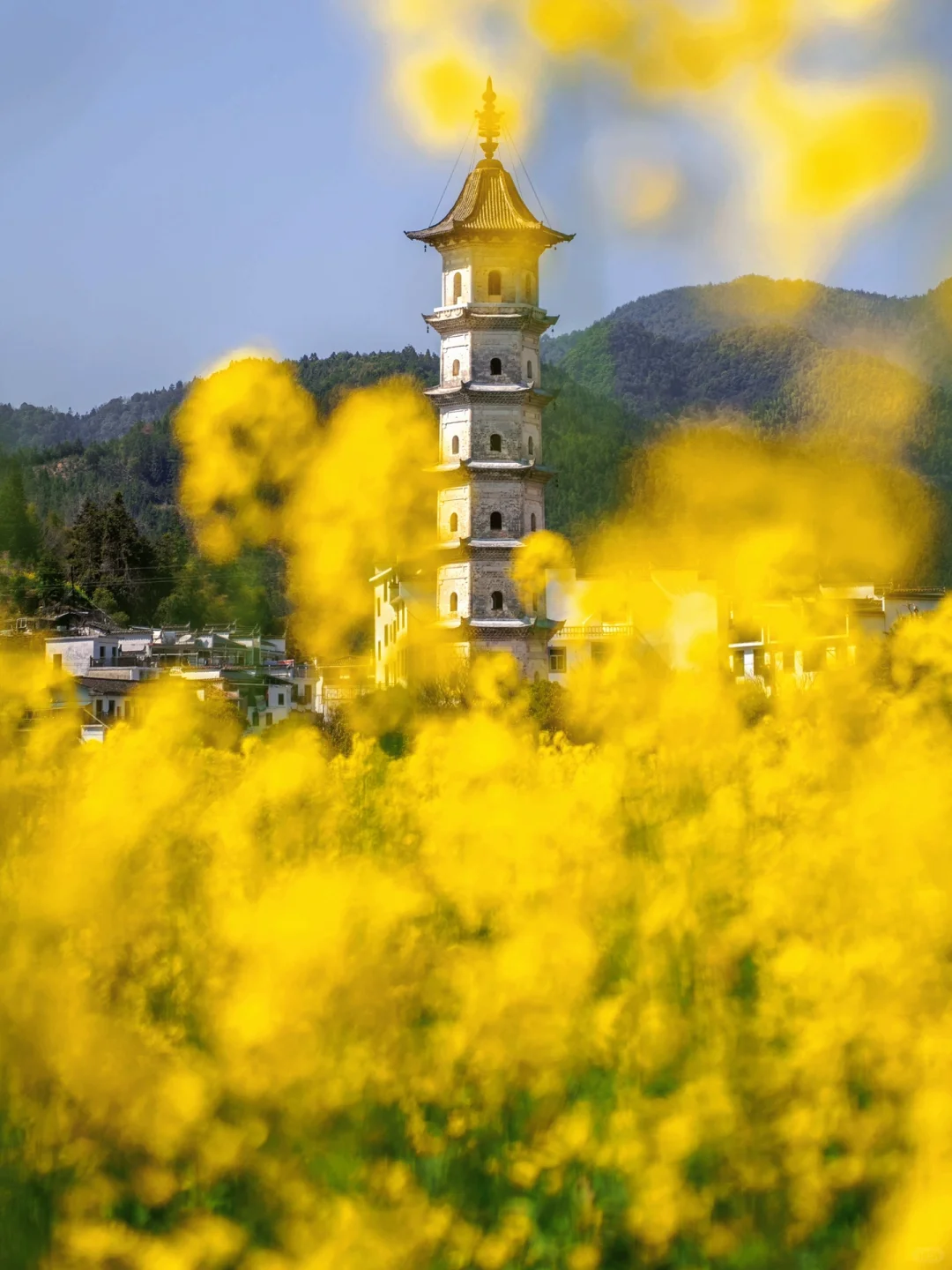 迄今为止，江西我最喜欢的春日旅行地出现了‼