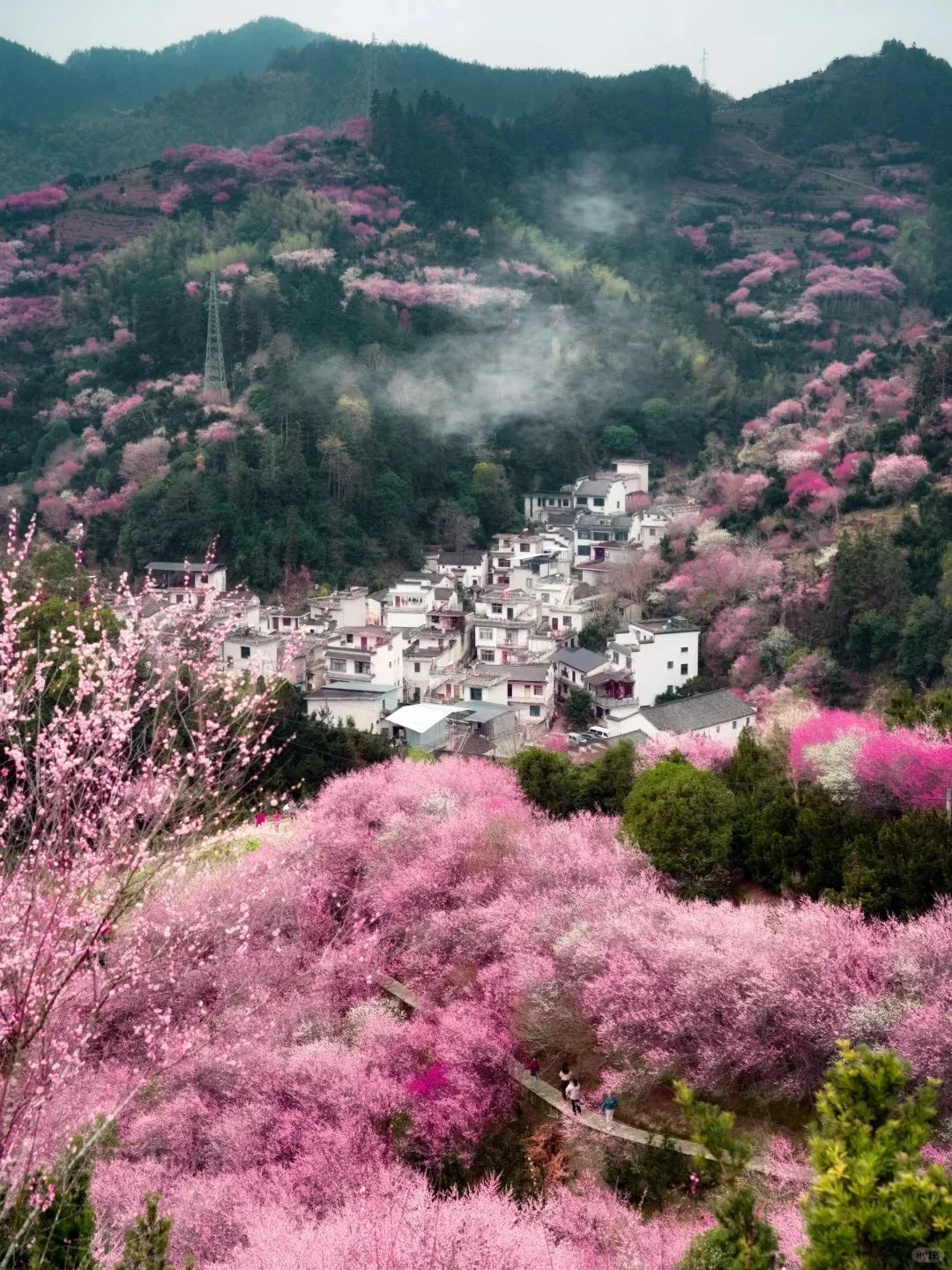 安徽必打卡的9大旅游胜地，不容错过！🌟