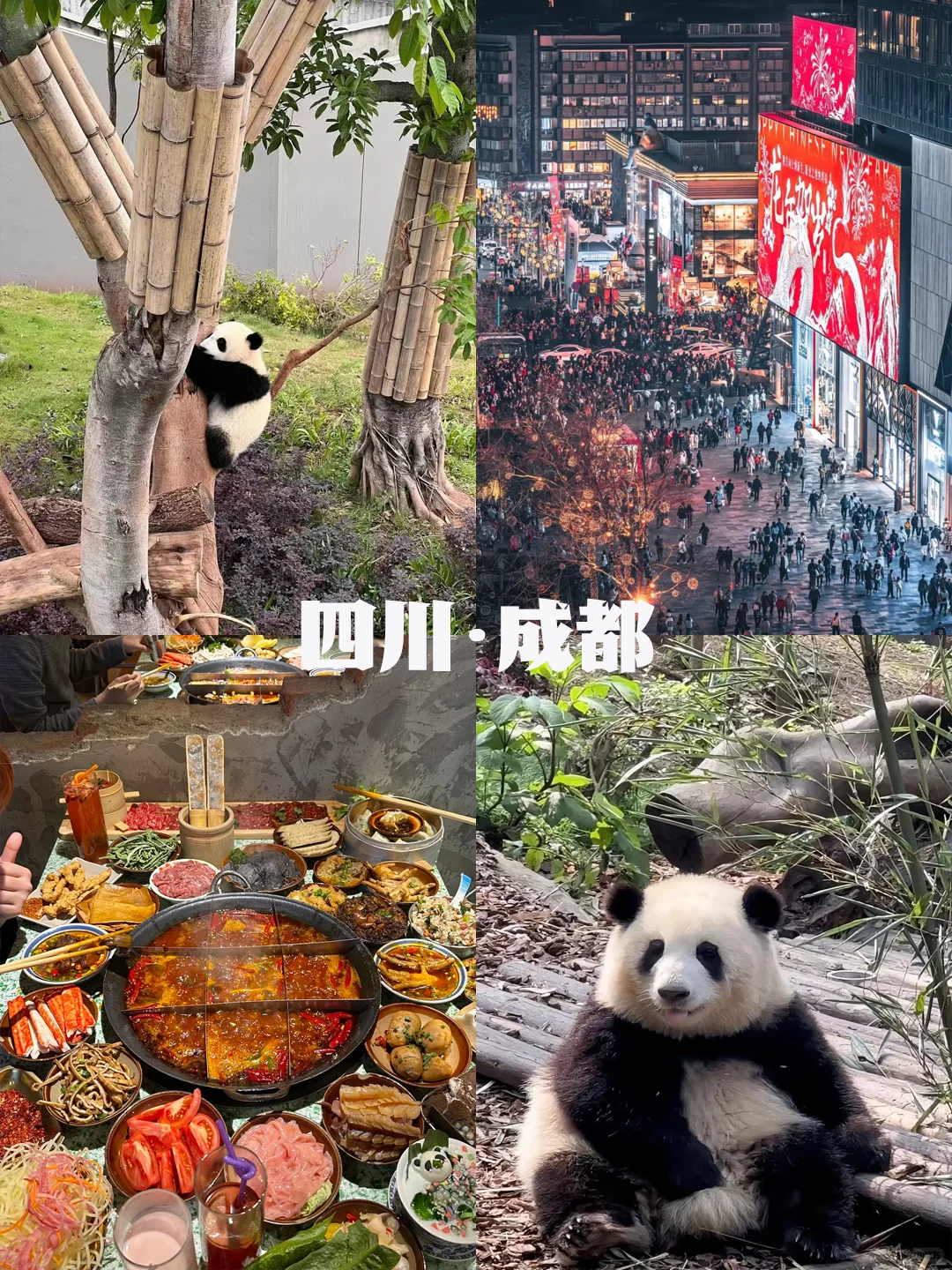 不愧是Deepseek，4月最佳旅游城市很会推荐