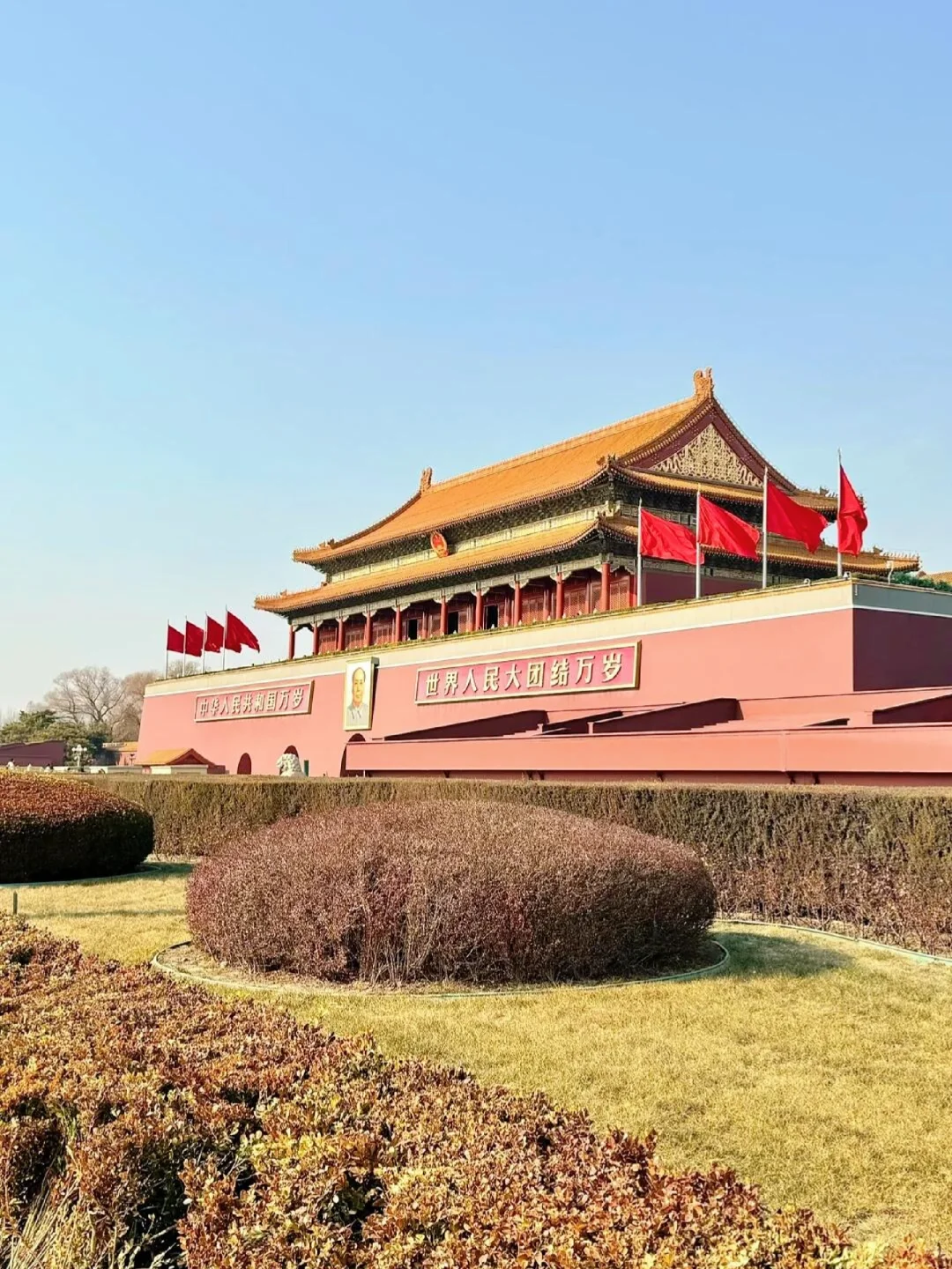 📍北京已回，能救一个是一个！(永不删）