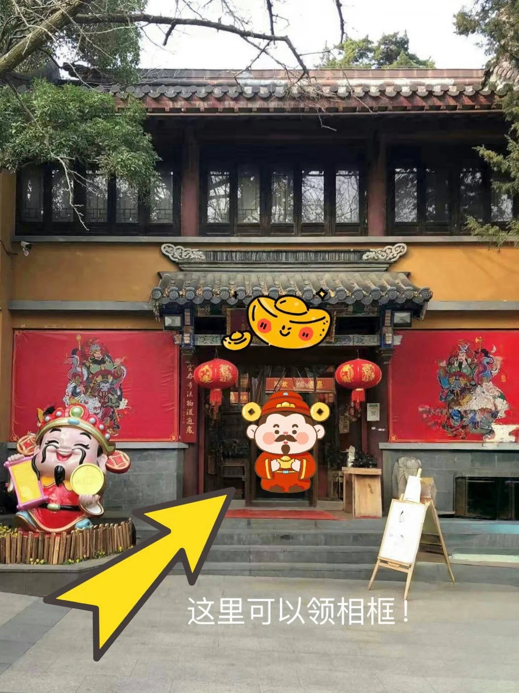 为了这一树“白玉”，去了一趟南京❗️