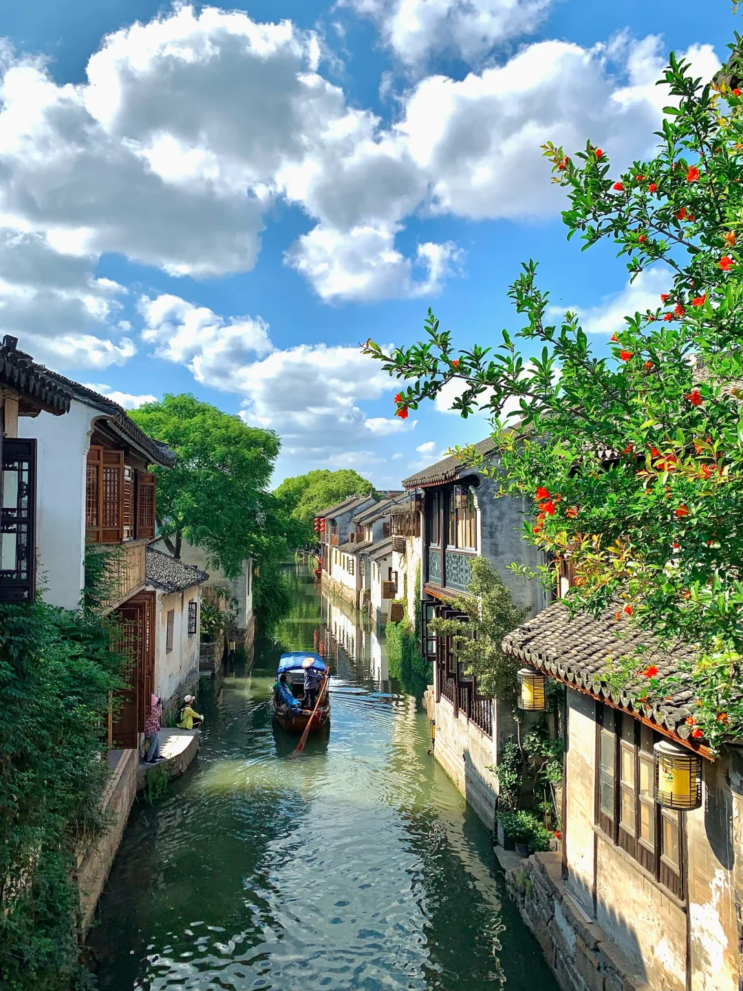 接下来的苏州❗️堪称国内春日旅行天花板