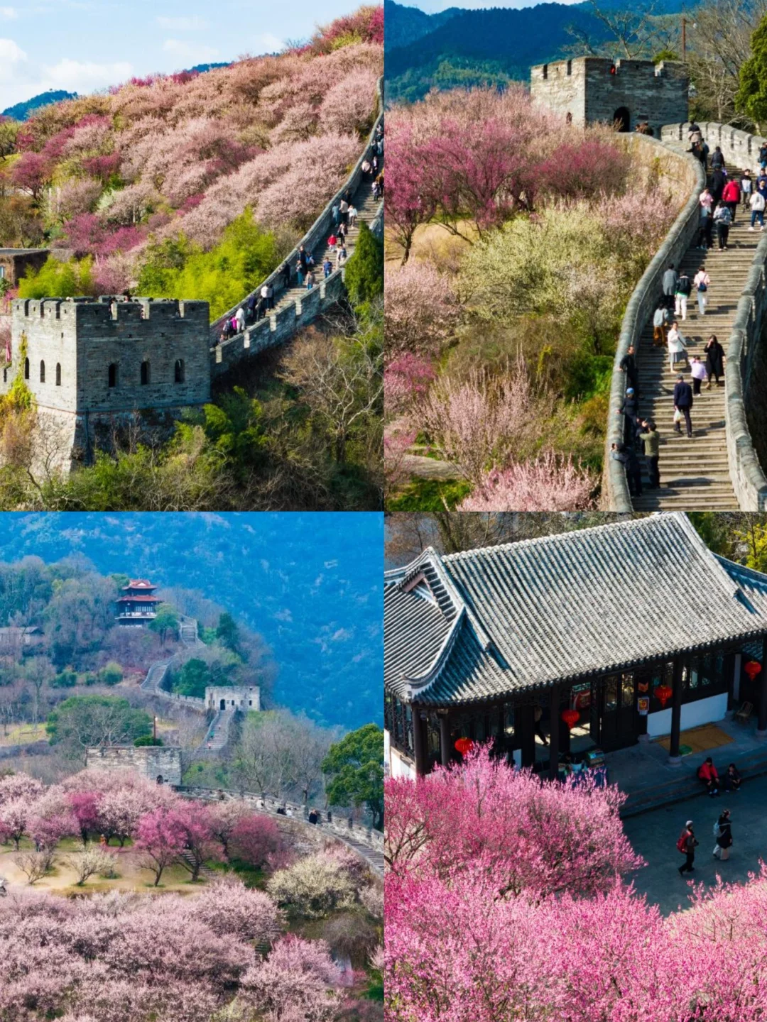 🌈台州| 3、4月来真香，山海相拥的诗意之旅！