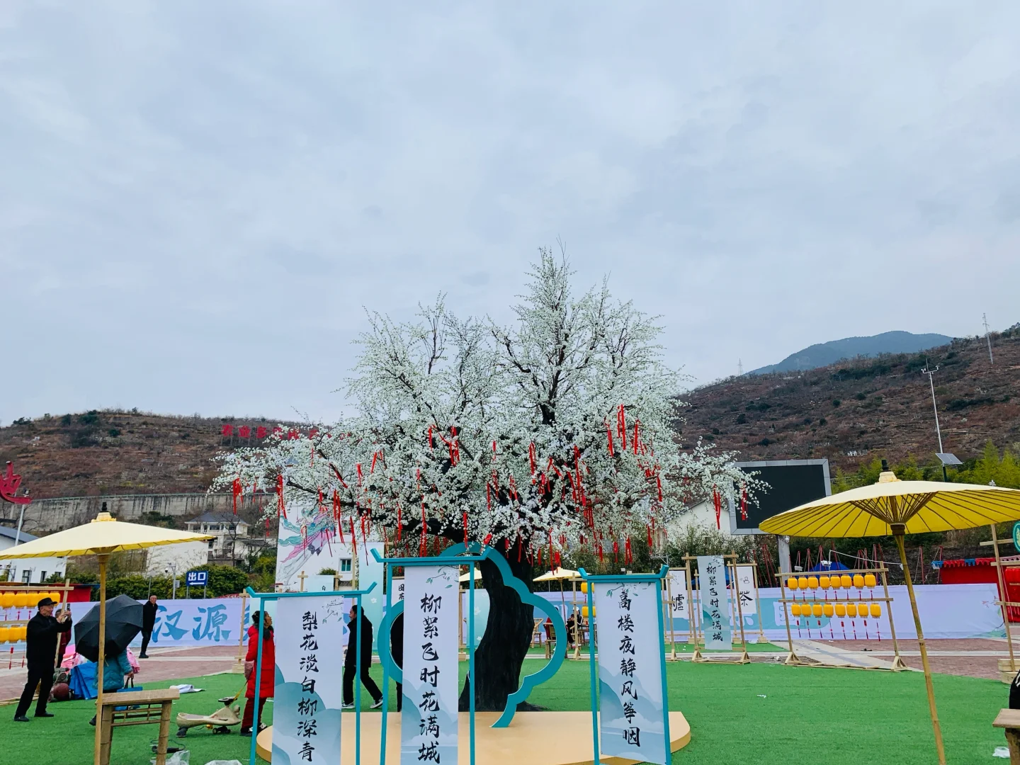 汉源梨花节