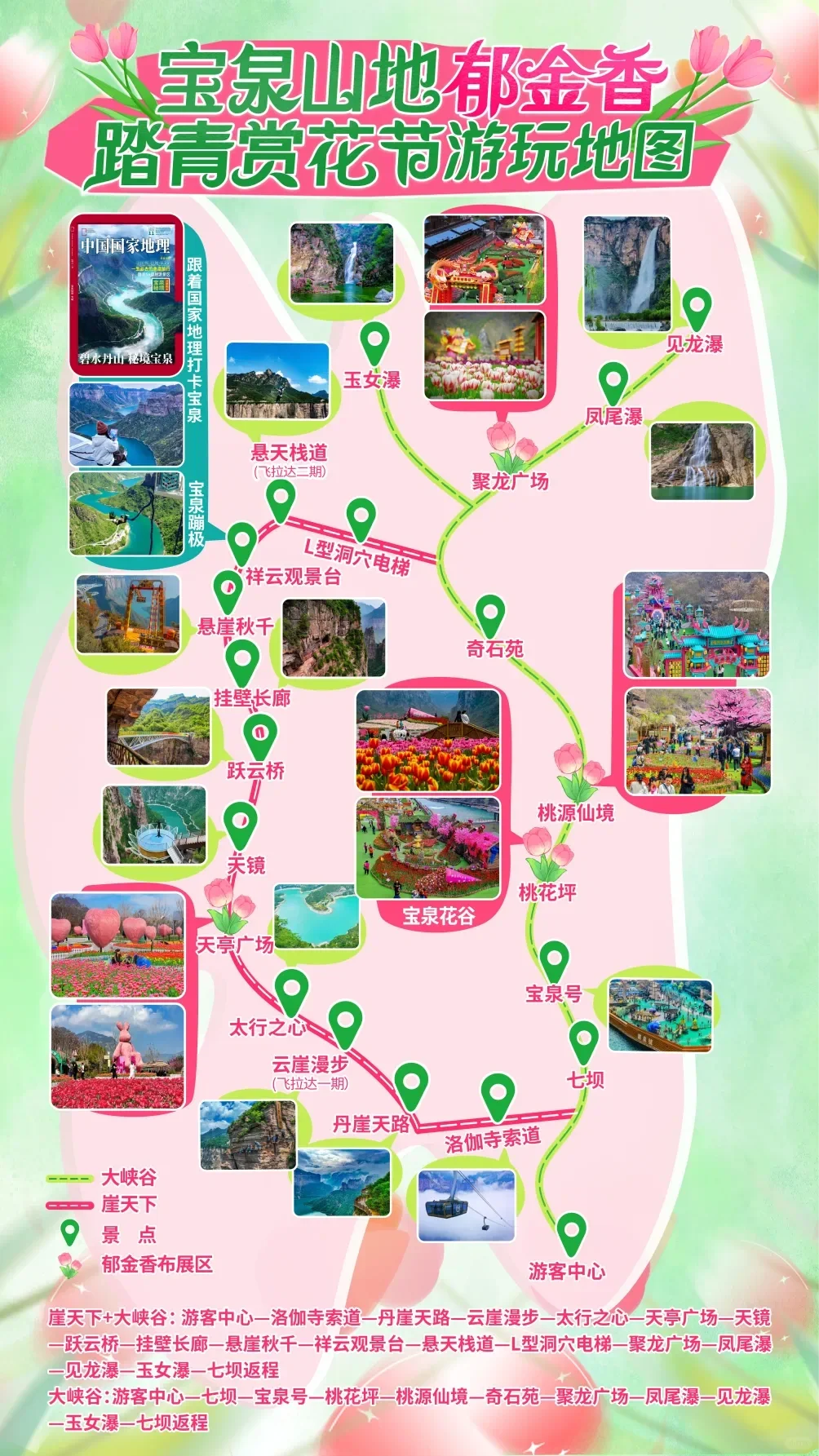 宝泉的春天|这里的郁金香🌷有万种开法