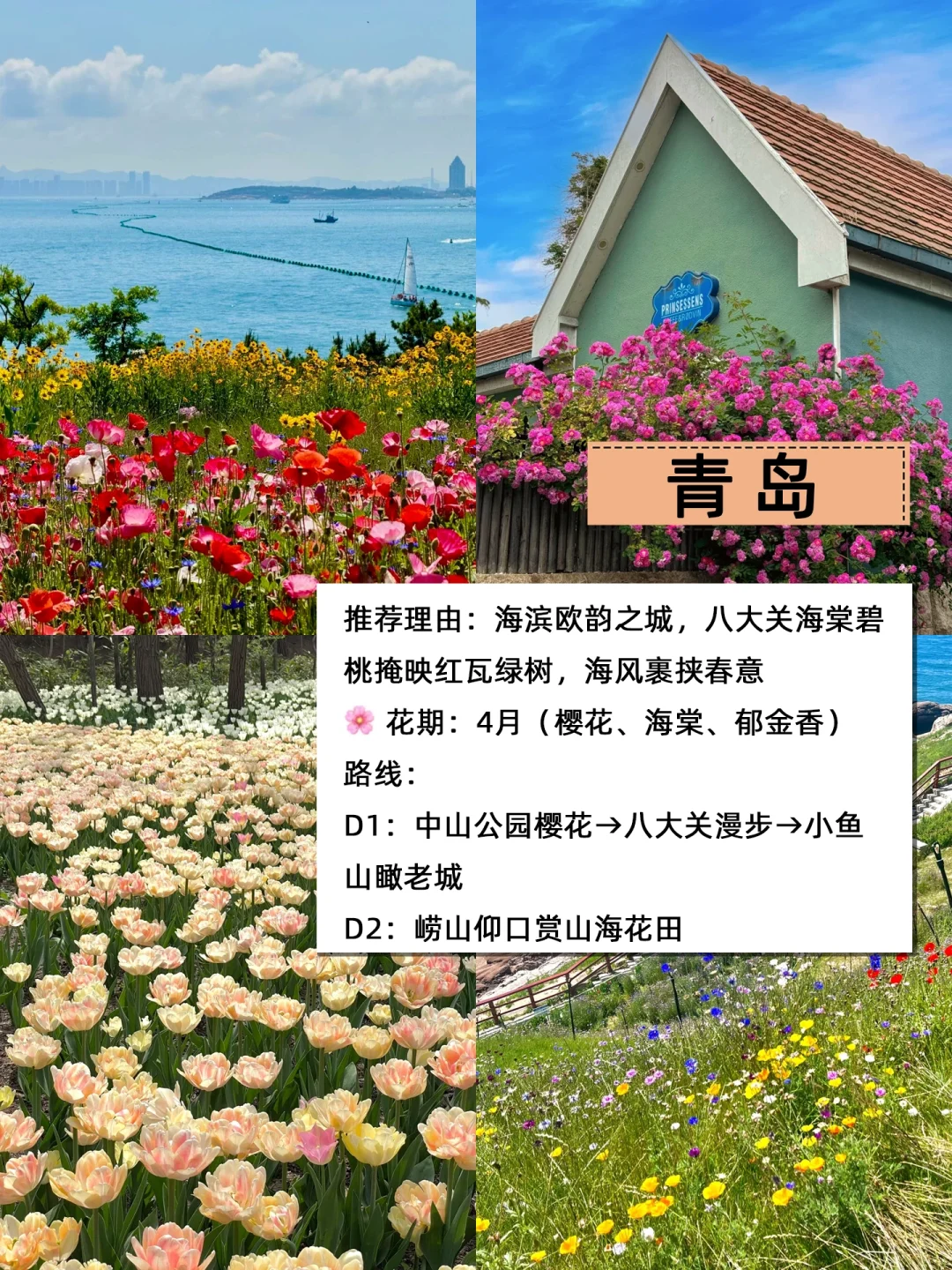 🌸3-4月旅游必看｜春日城市赏花攻略