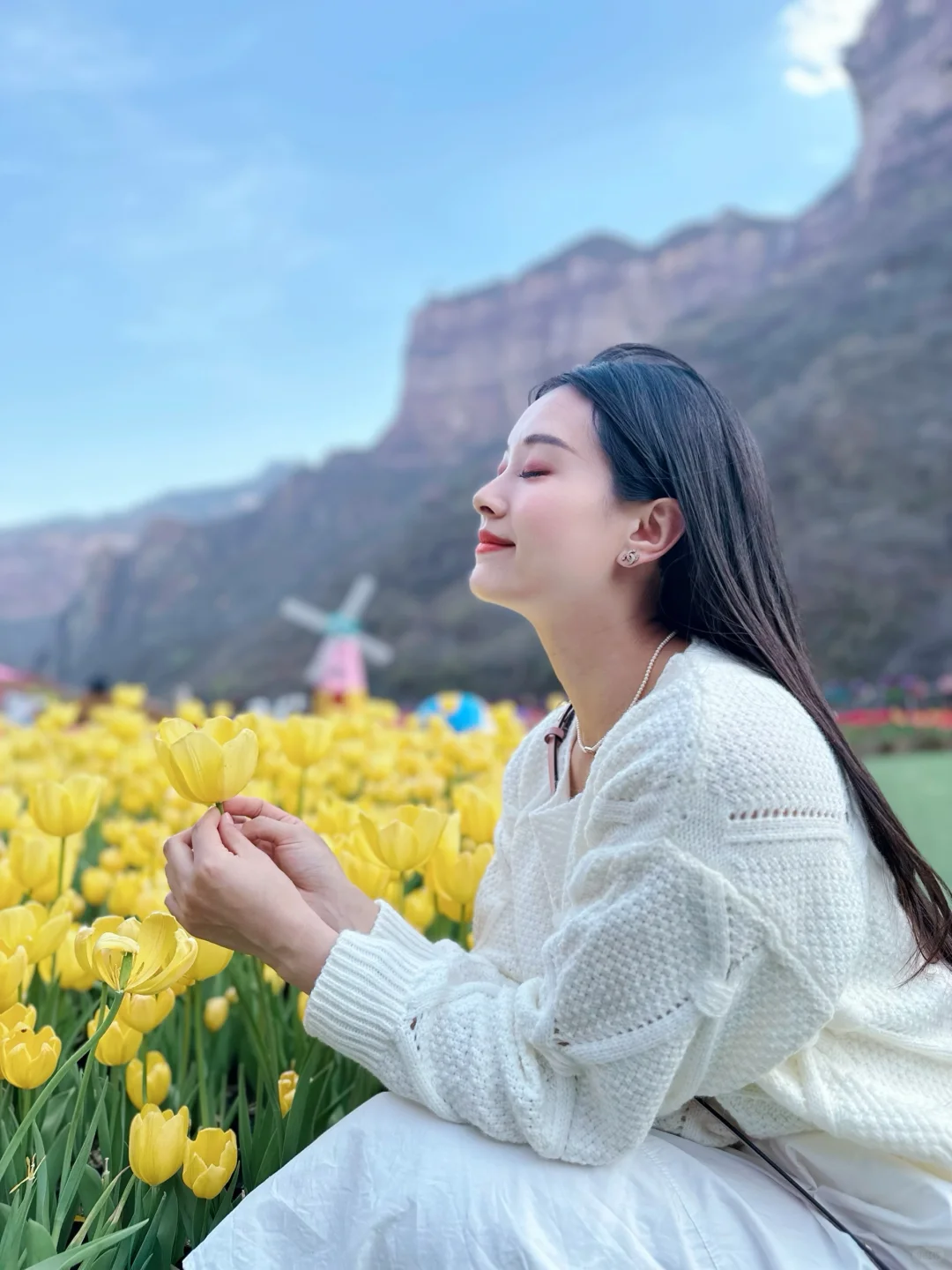宝泉的春天|这里的郁金香🌷有万种开法