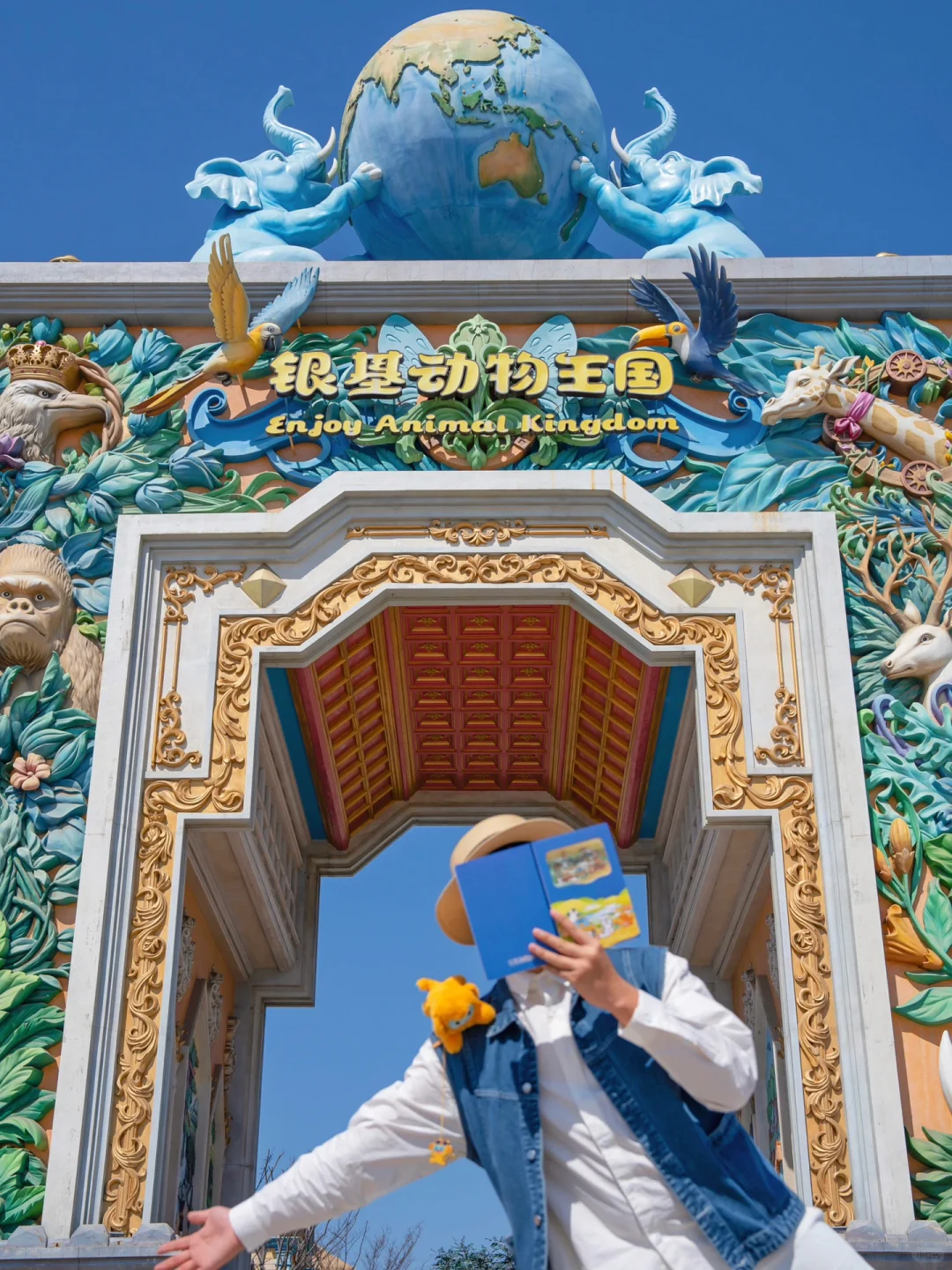 为了这扇窗，我特意飞了趟郑州🐟