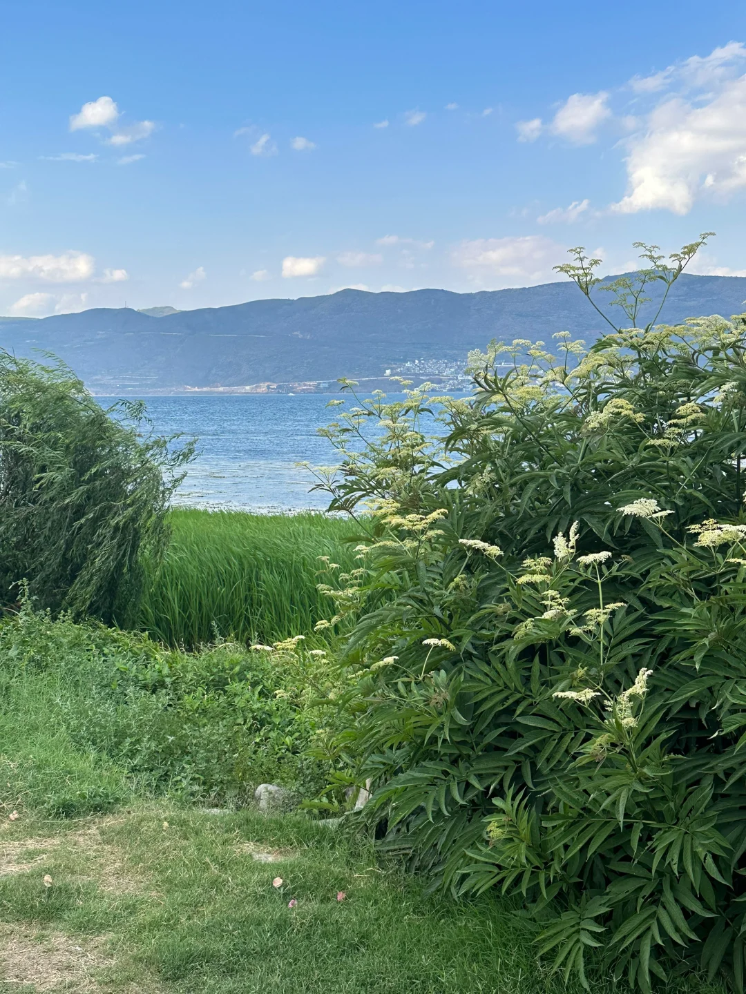 去了五次大理｜不打卡推荐的目的地