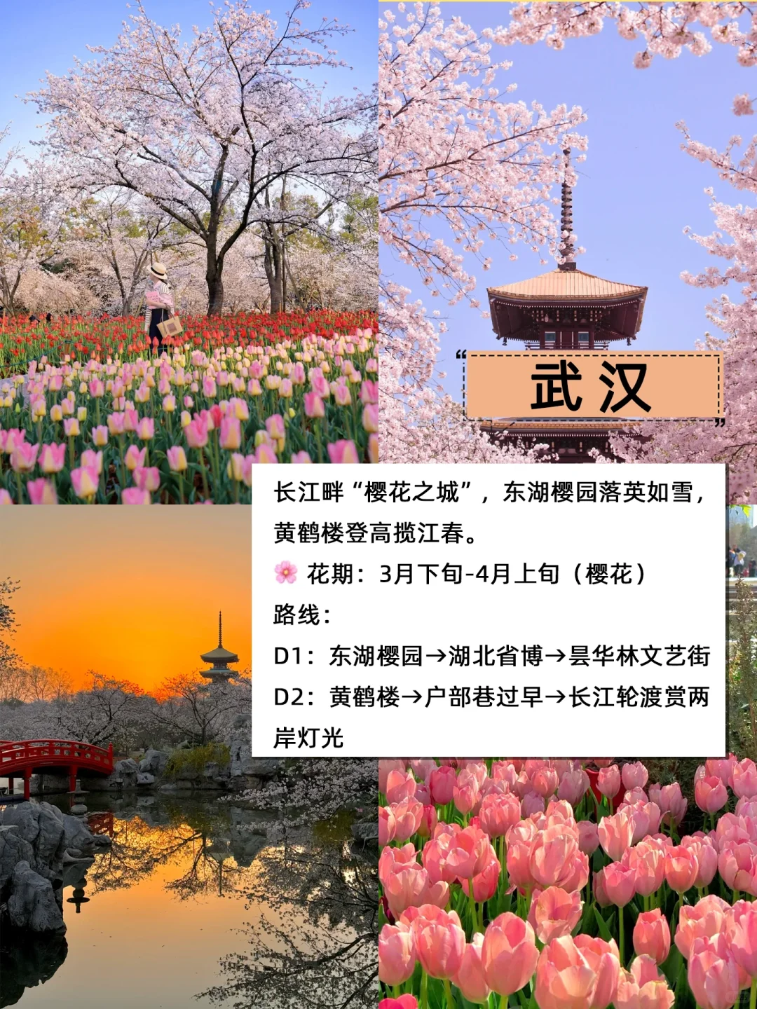 🌸3-4月旅游必看｜春日城市赏花攻略