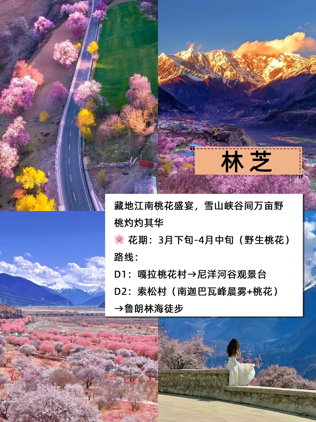 🌸3-4月旅游必看｜春日城市赏花攻略