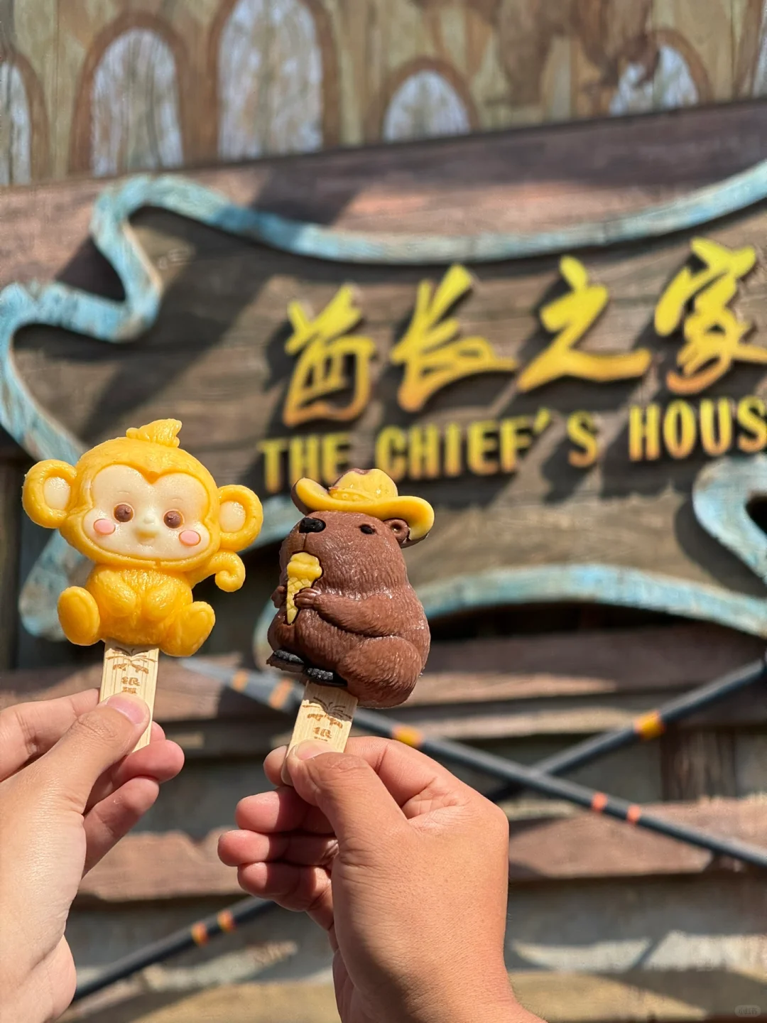 为了这扇窗，我特意飞了趟郑州🐟