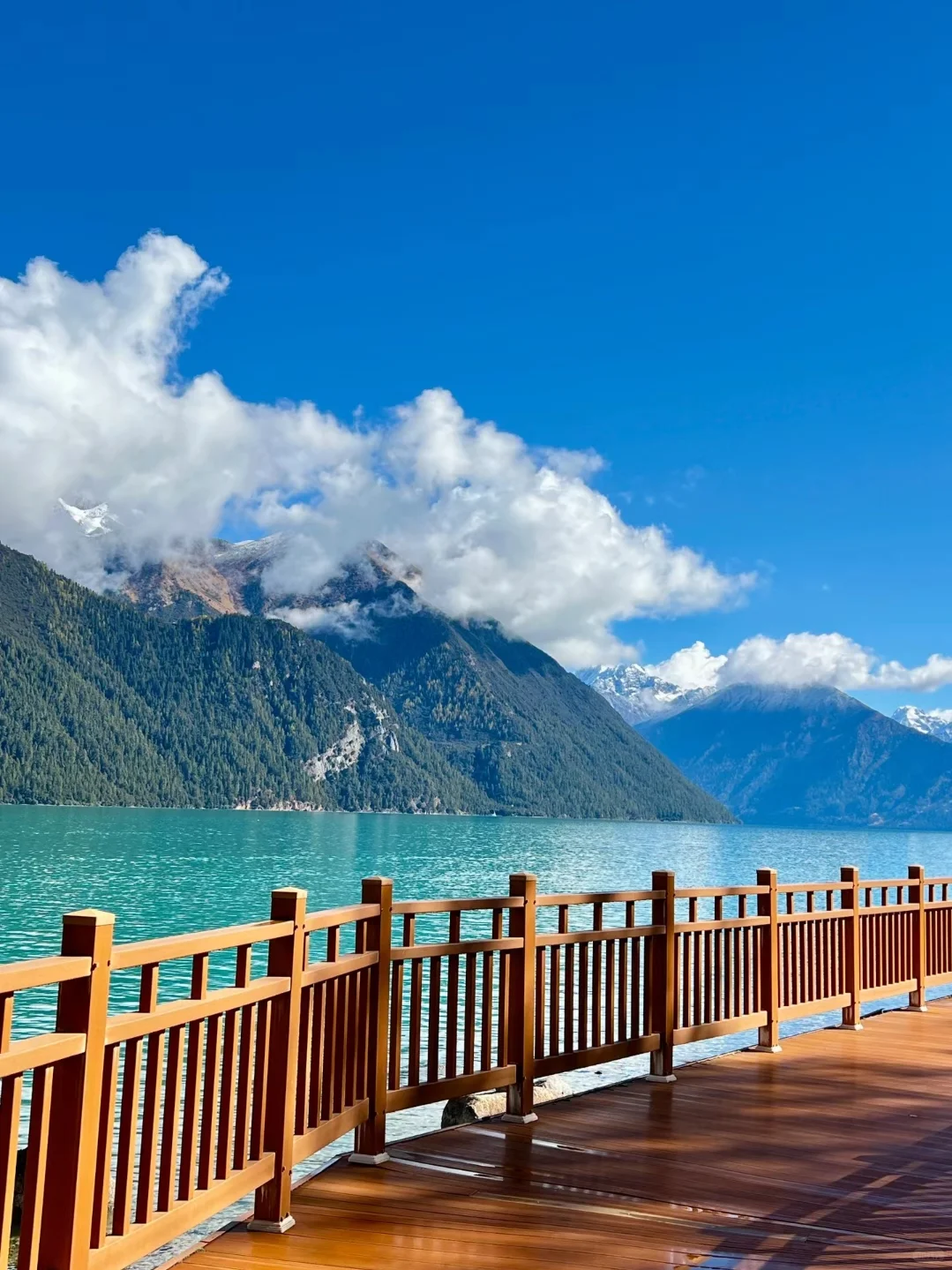 🏔3月林芝｜桃花雪山下的春日仙境🌸