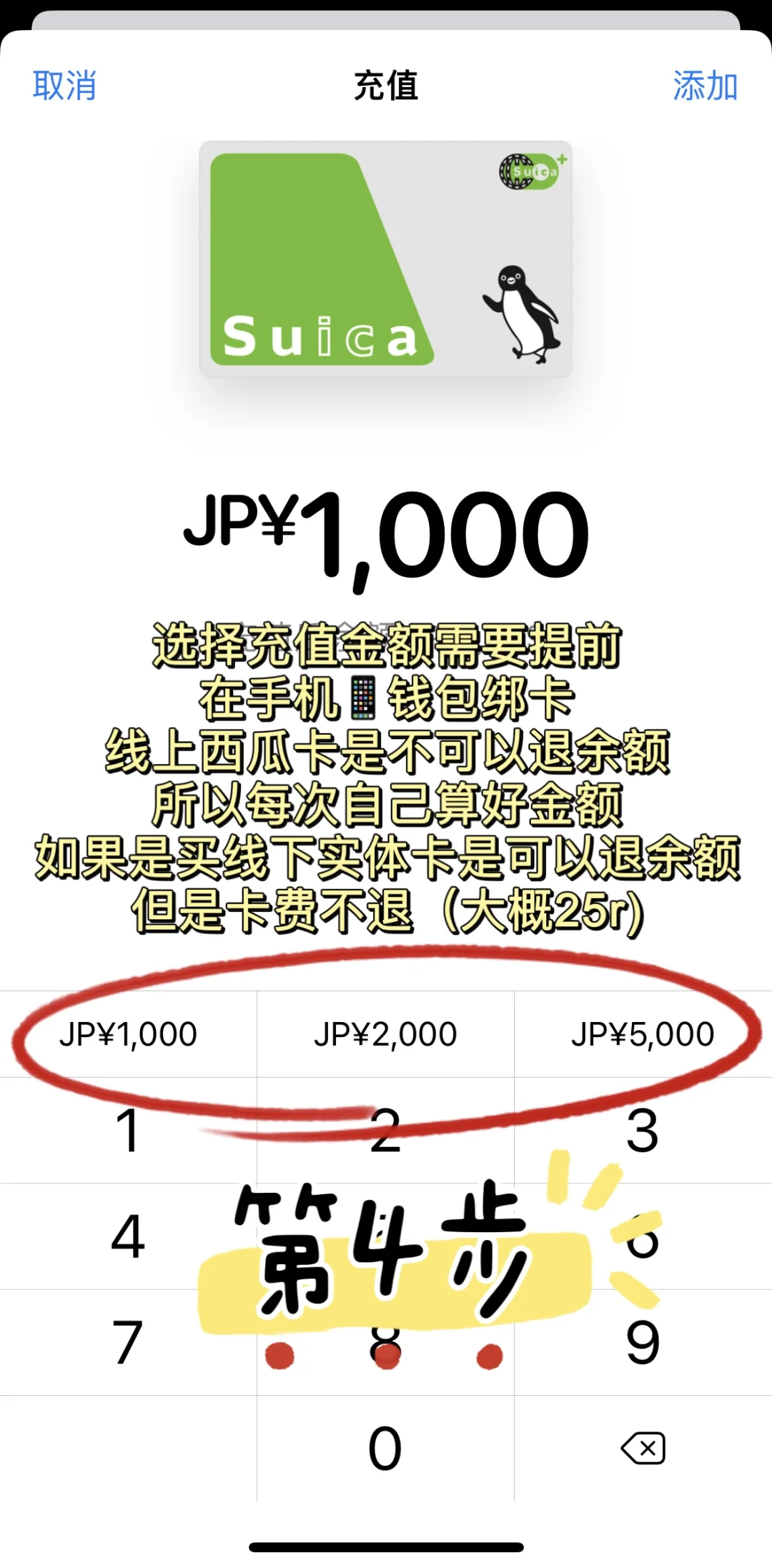 ✈️【第一次日本自由行】新手必看保姆级攻略❗