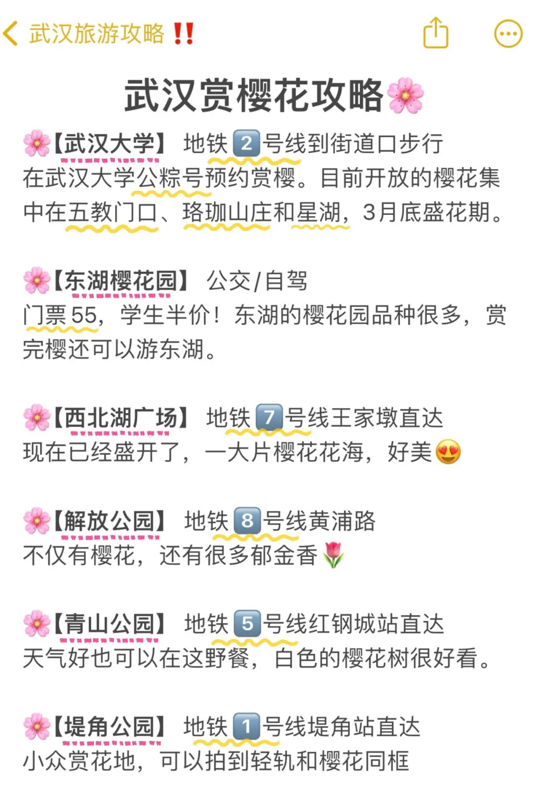 樱花季的武汉会惩罚每一个不做攻略的人……