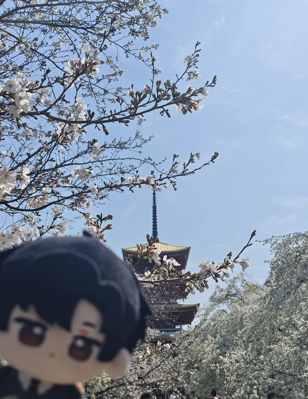 和小顾旅游plog