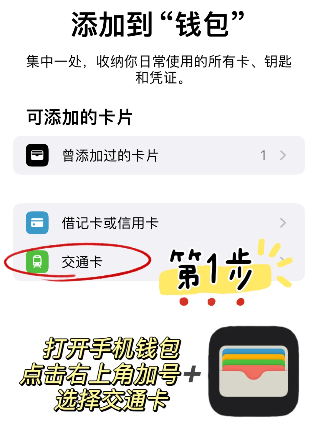 ✈️【第一次日本自由行】新手必看保姆级攻略❗