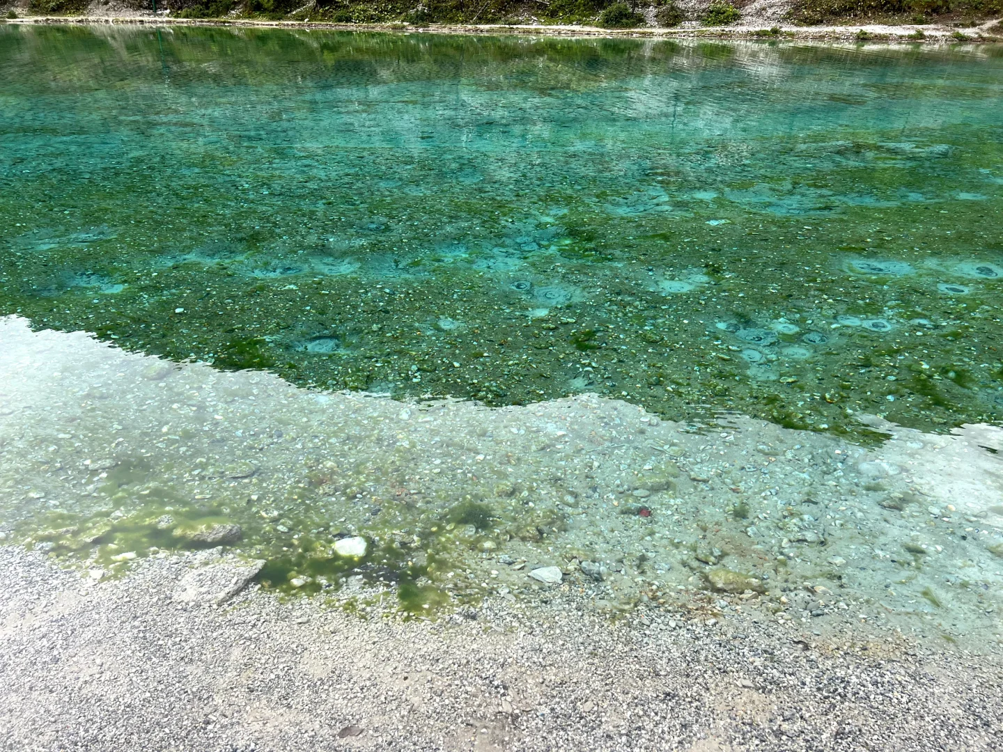 🌈丽江的人间仙境🧊你一定要来这里✨