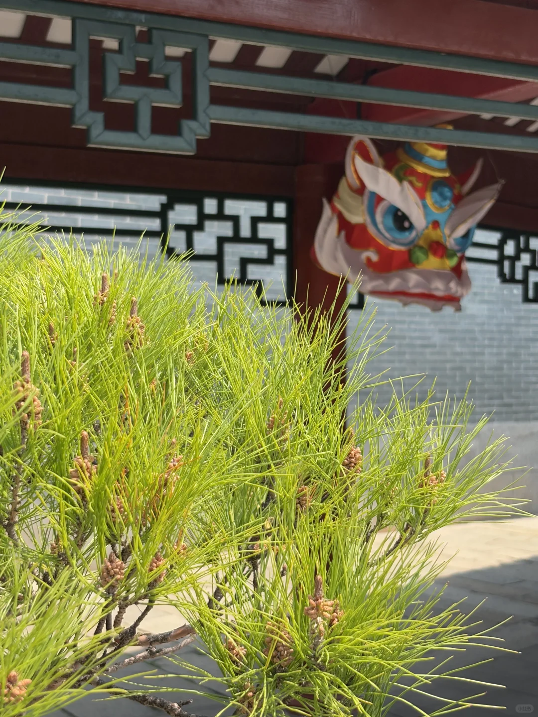耶，佛山