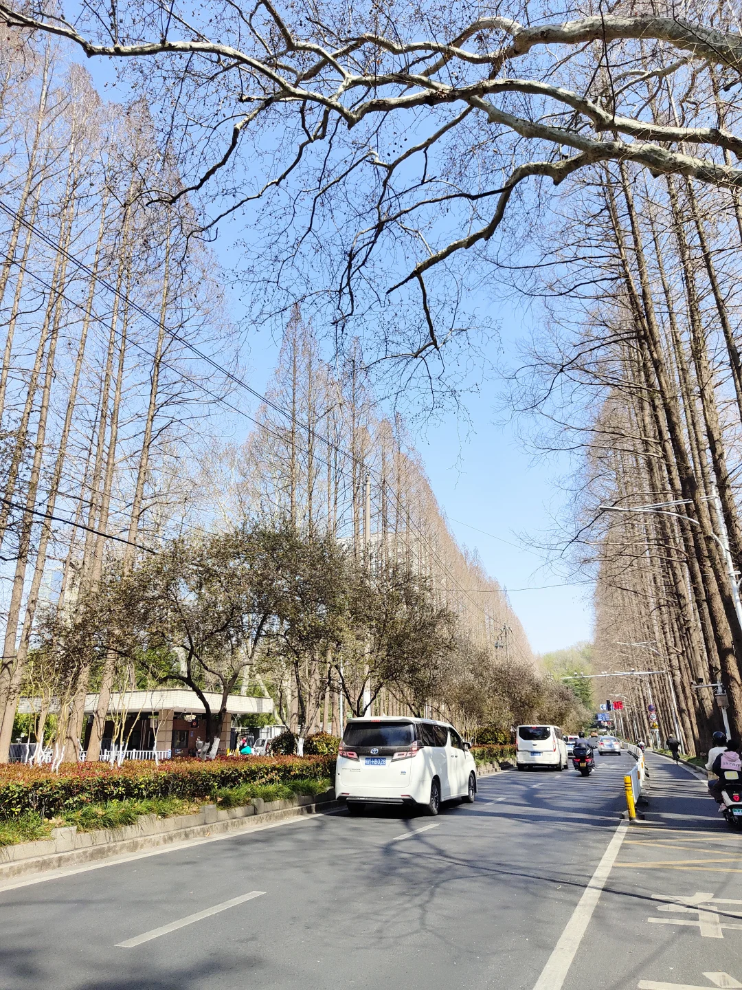 已撤退，百万大军攻打鸡鸣寺