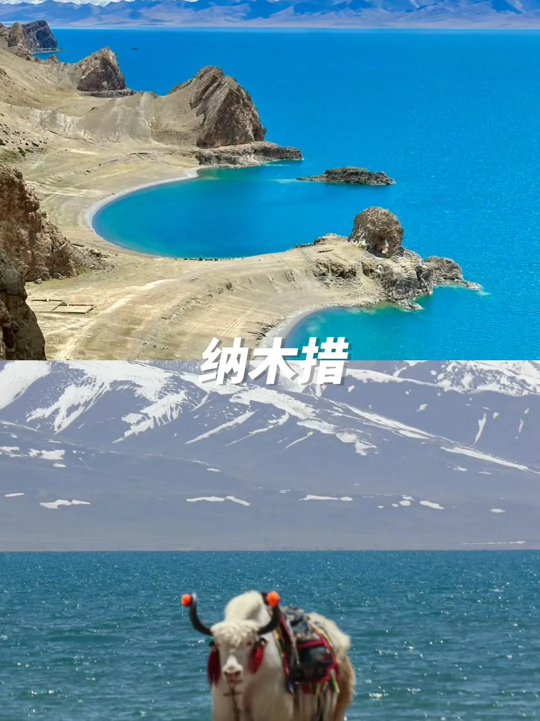 西藏旅游⚠️林芝羊湖纳木措4天3晚攻略✅