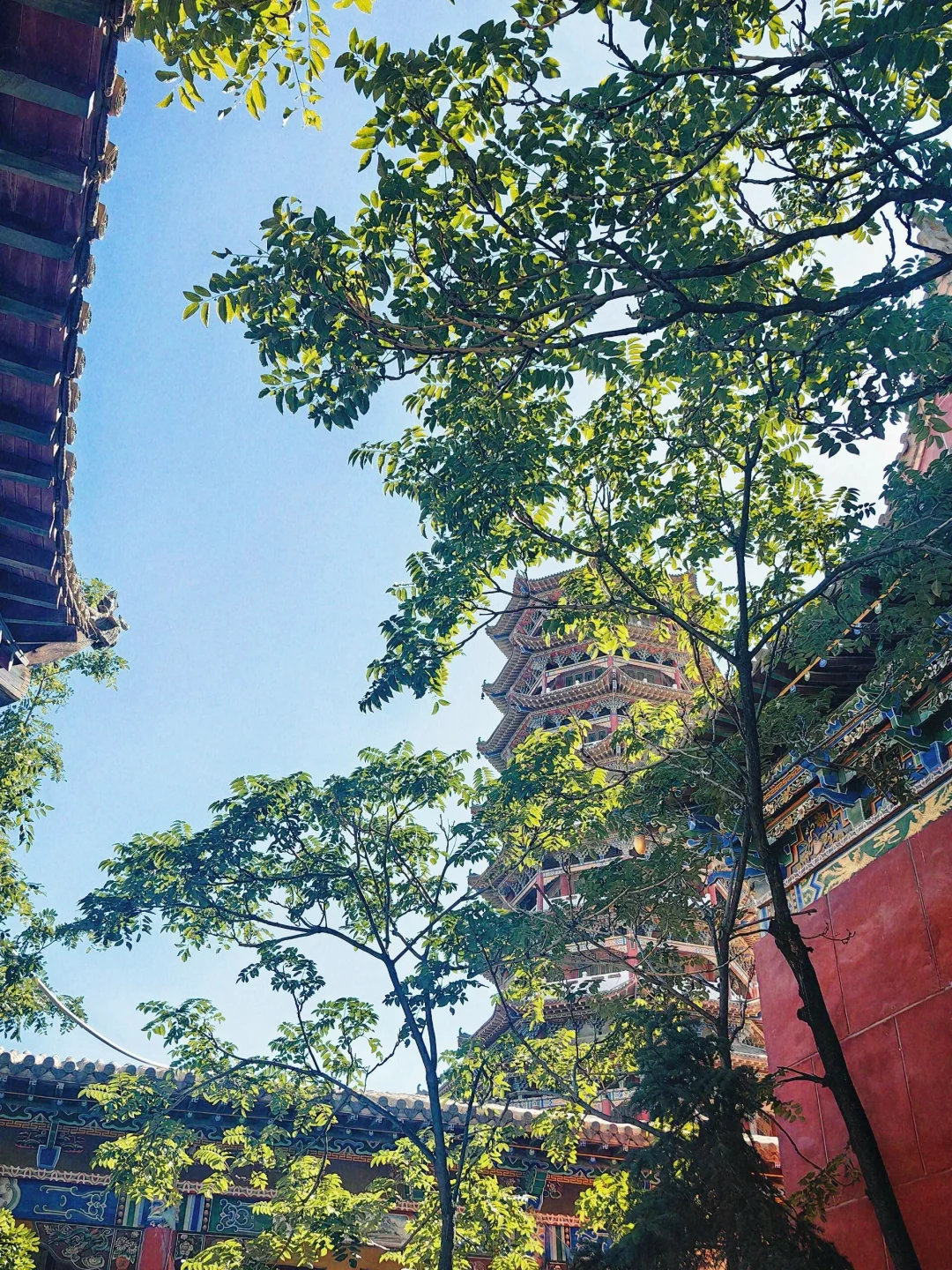 宁夏小众秘境 甘露寺｜0门票 牛首山一日游