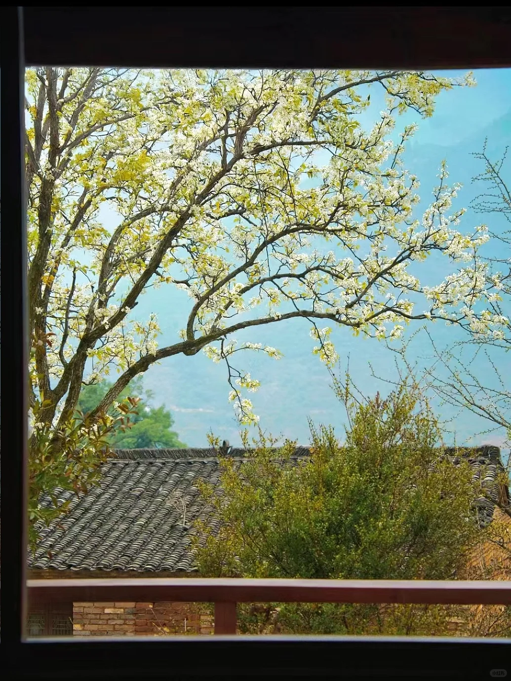 我在婺源上春山！最美古村的春天真的好绝！