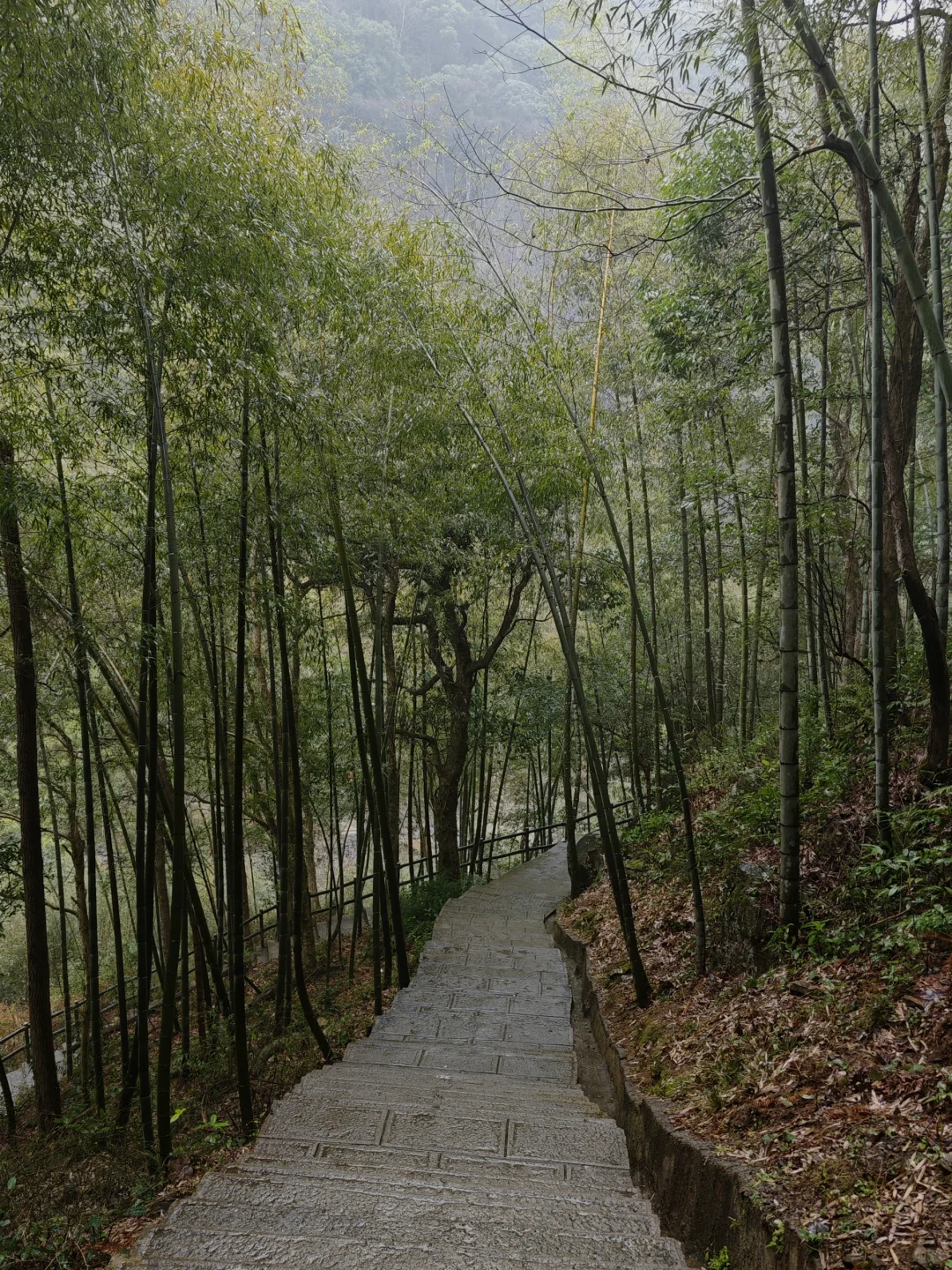 避雷牯牛降，石台县