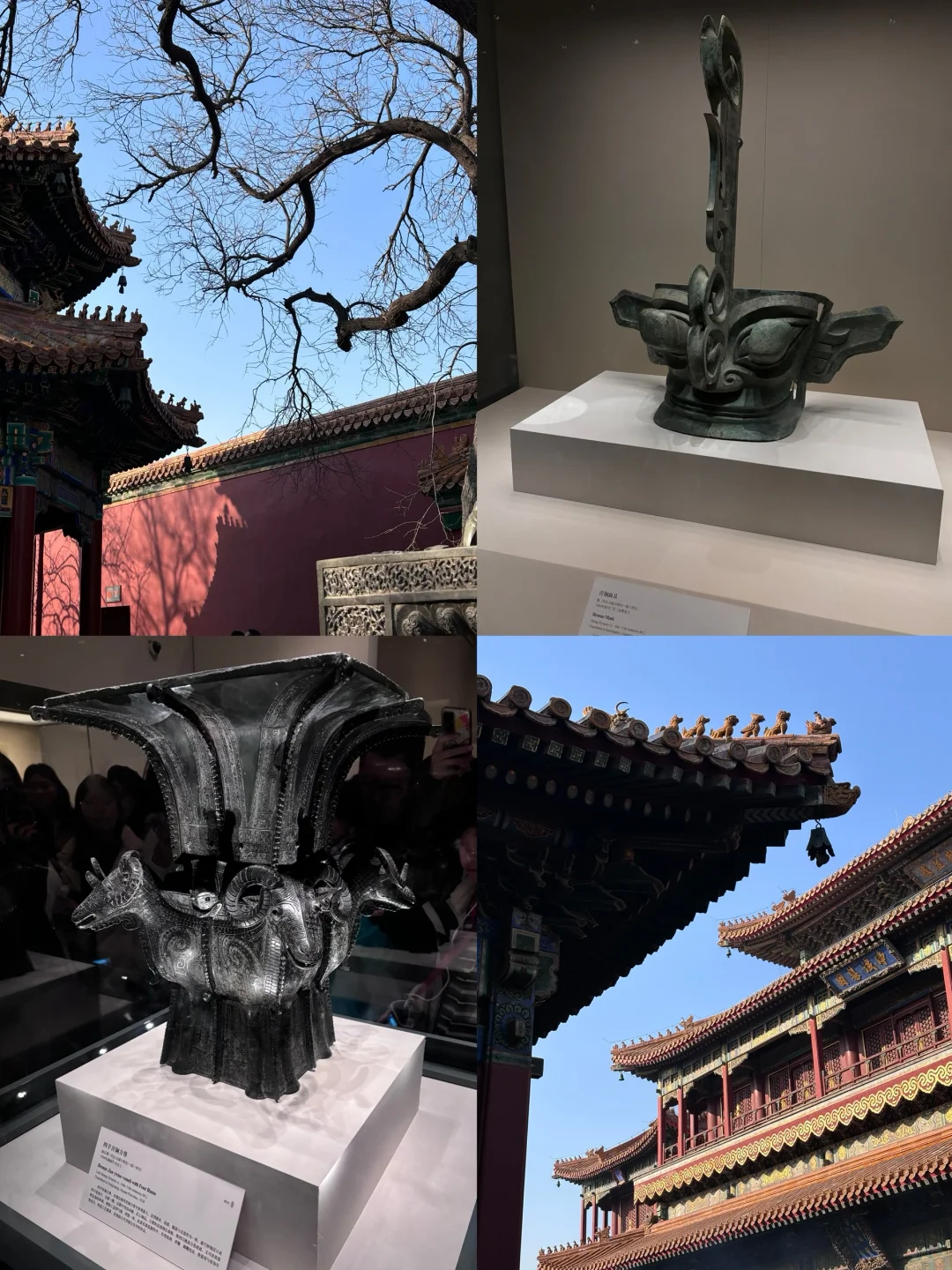 和闺闺特种兵去4️⃣座城市7天花1k8（亲测版）