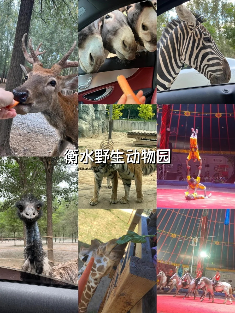 邢台周边春游踏春1日路线🌷打卡绝美春色