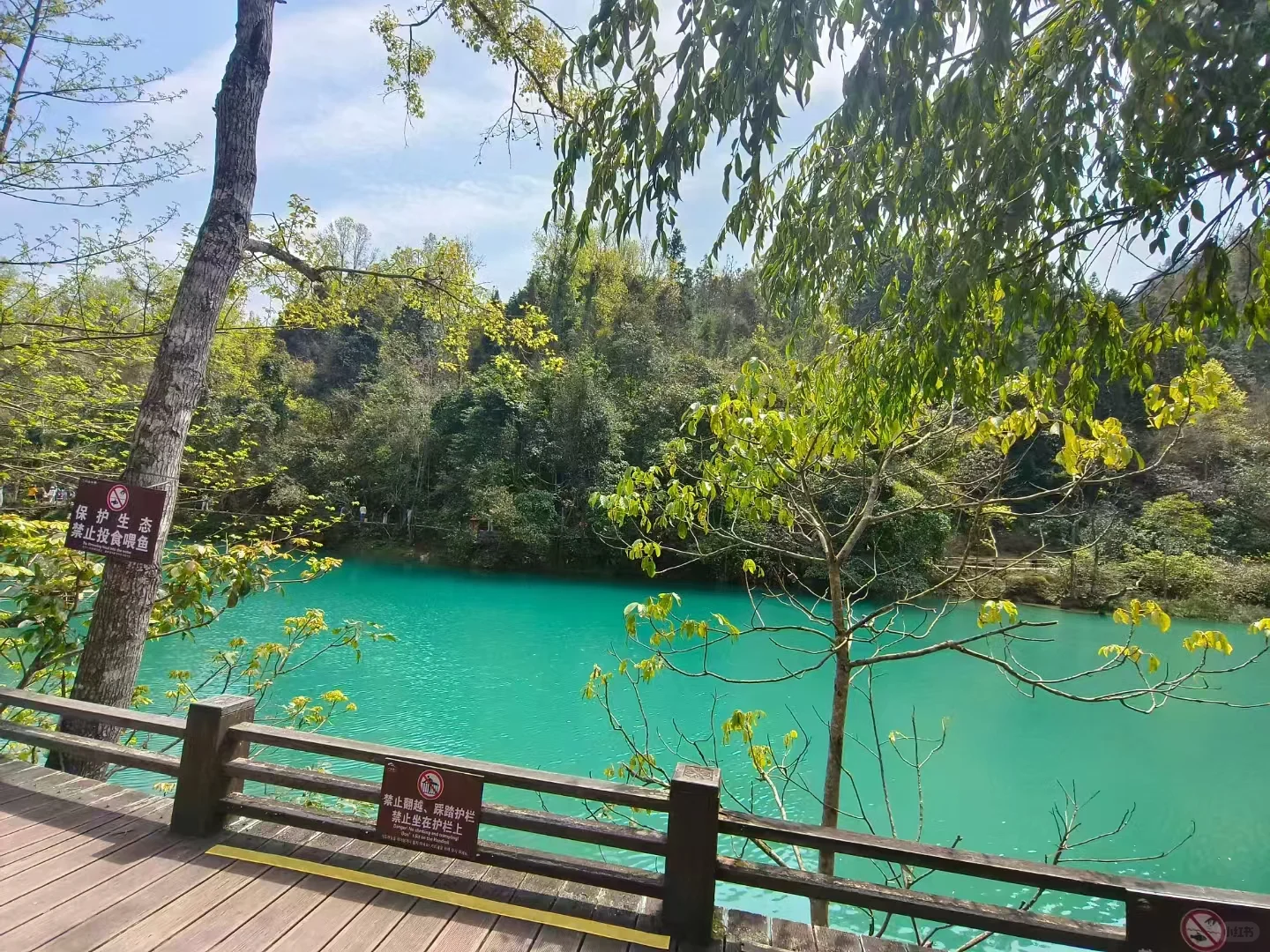 贵州旅游攻略