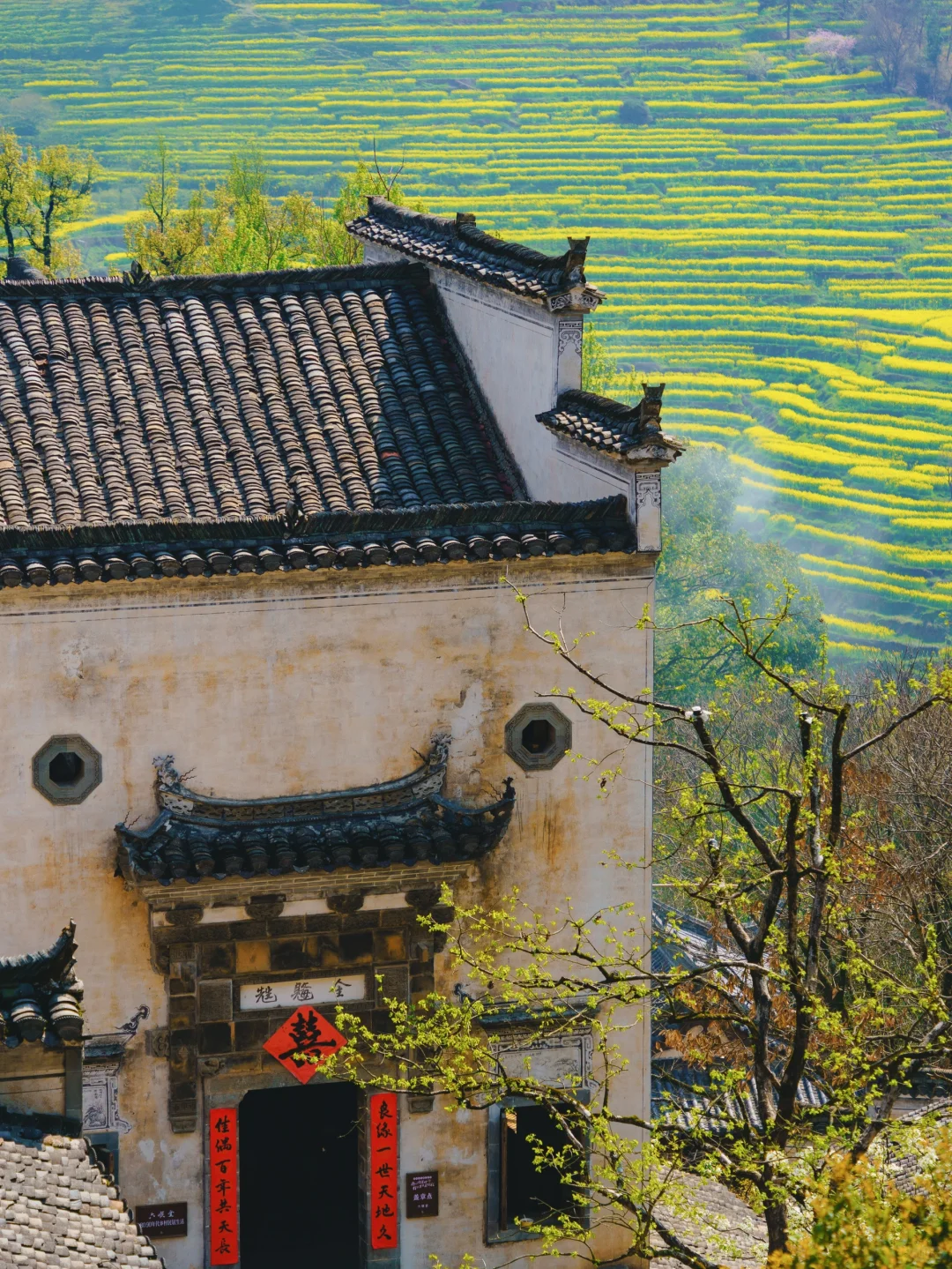 被《国家地理》评为中国最美的春天👍有多绝