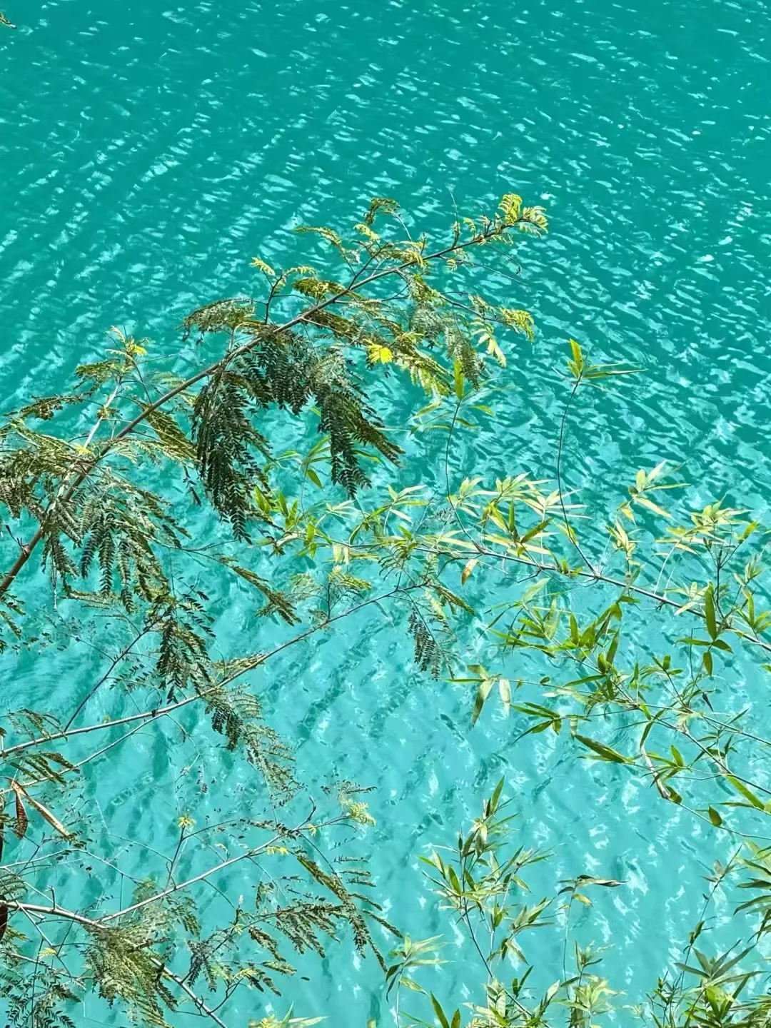 贵州旅游攻略